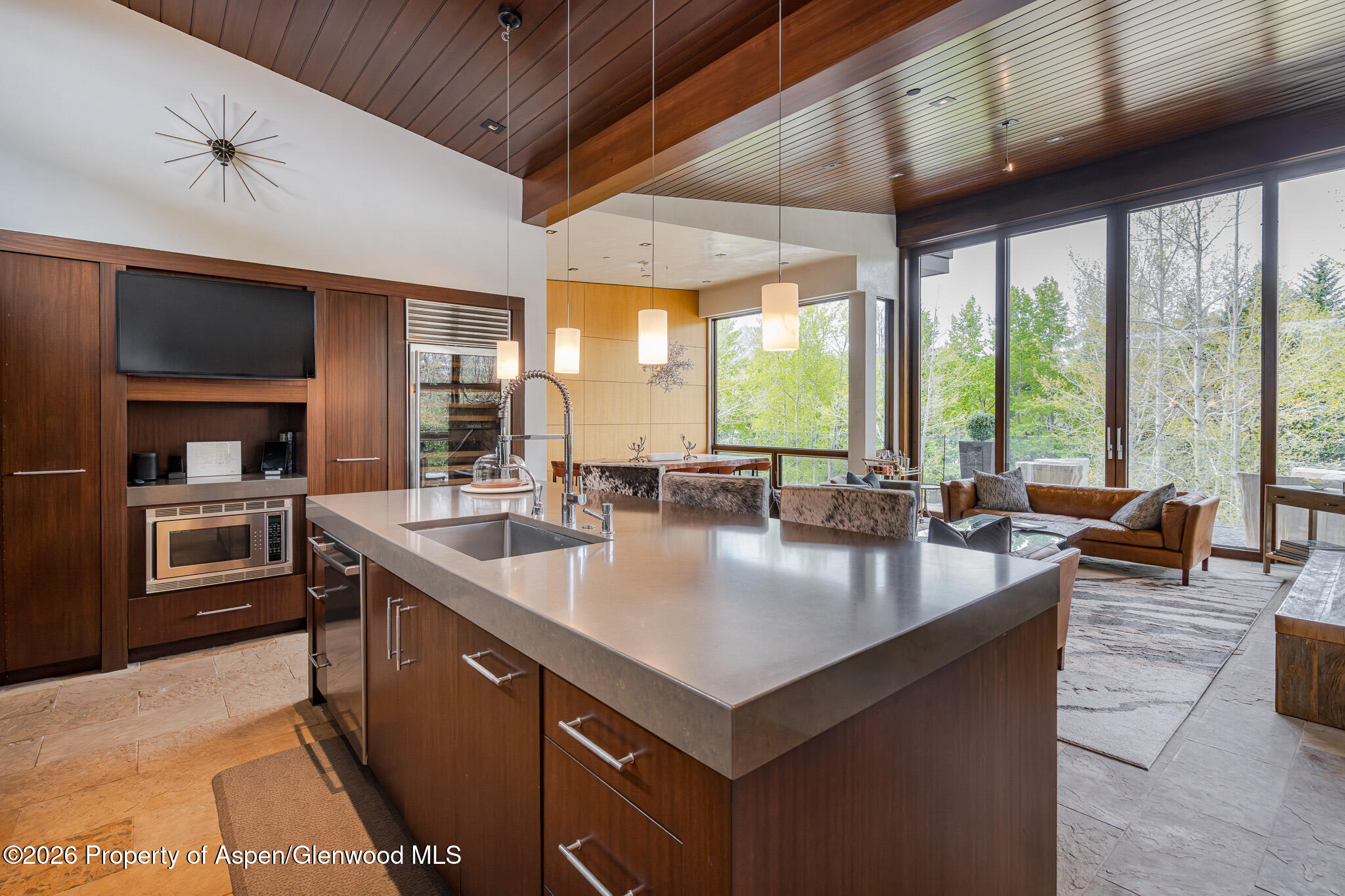 1564 Silver King Drive Aspen CO 81611