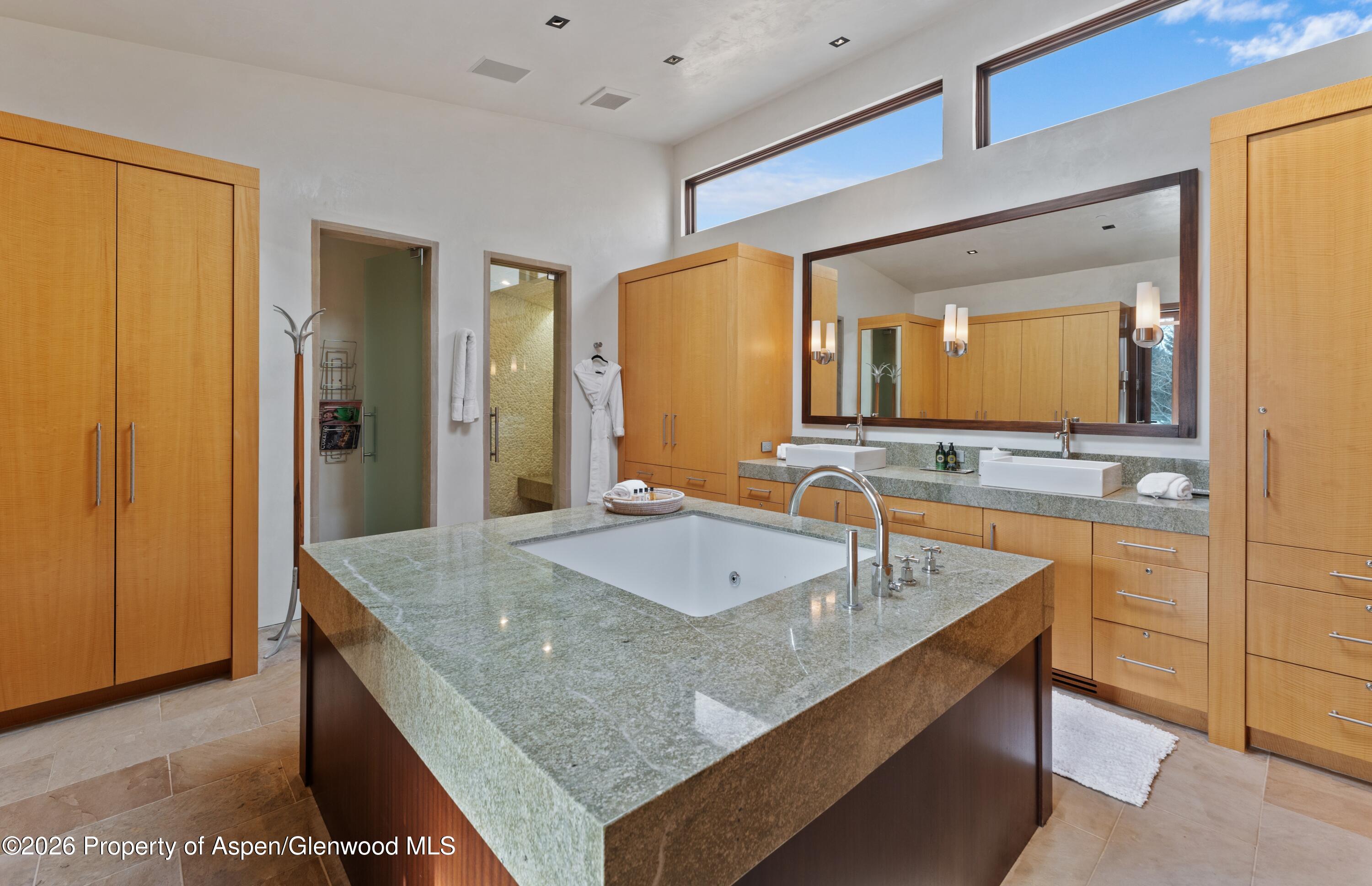 1564 Silver King Drive Aspen CO 81611