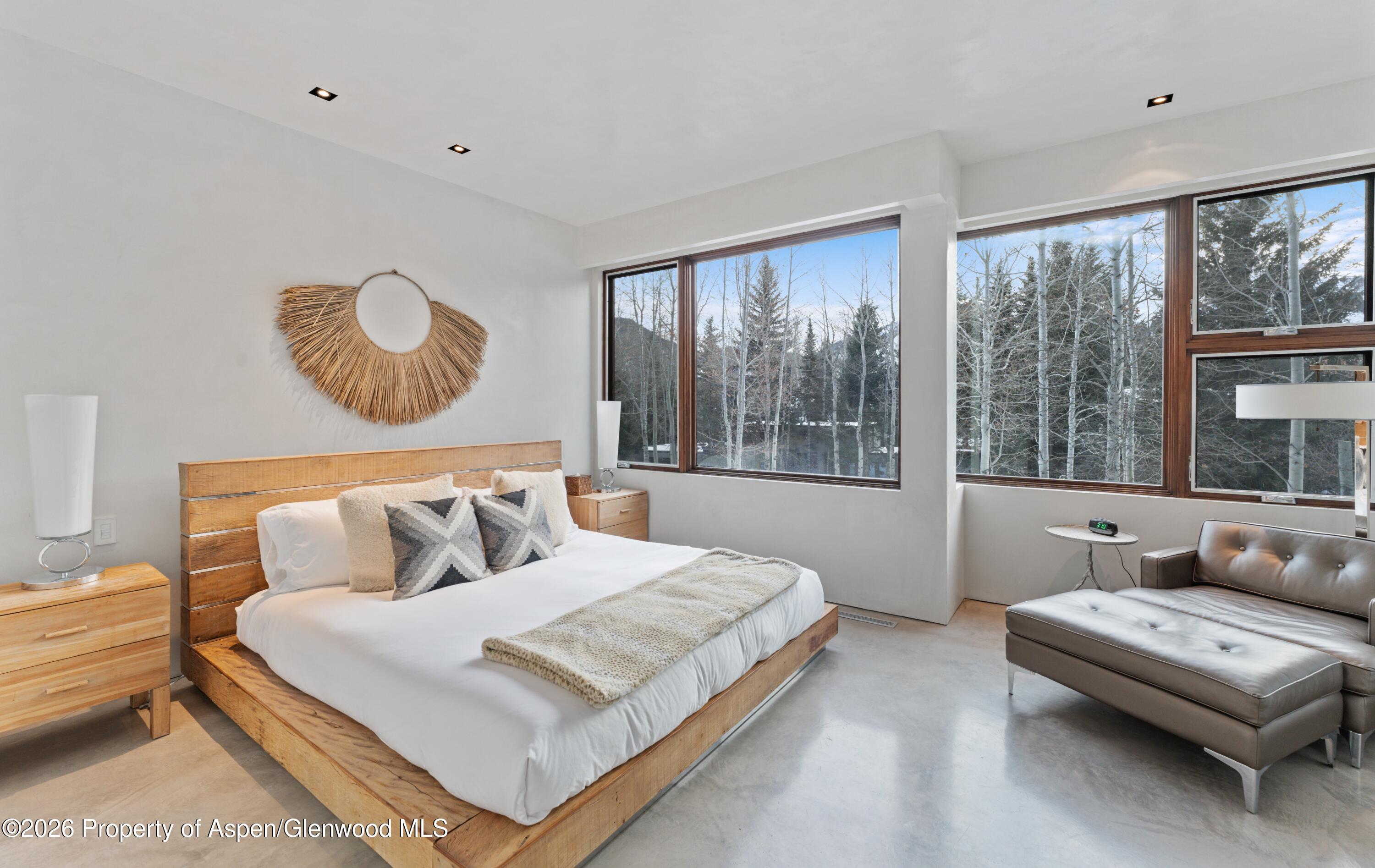 1564 Silver King Drive Aspen CO 81611