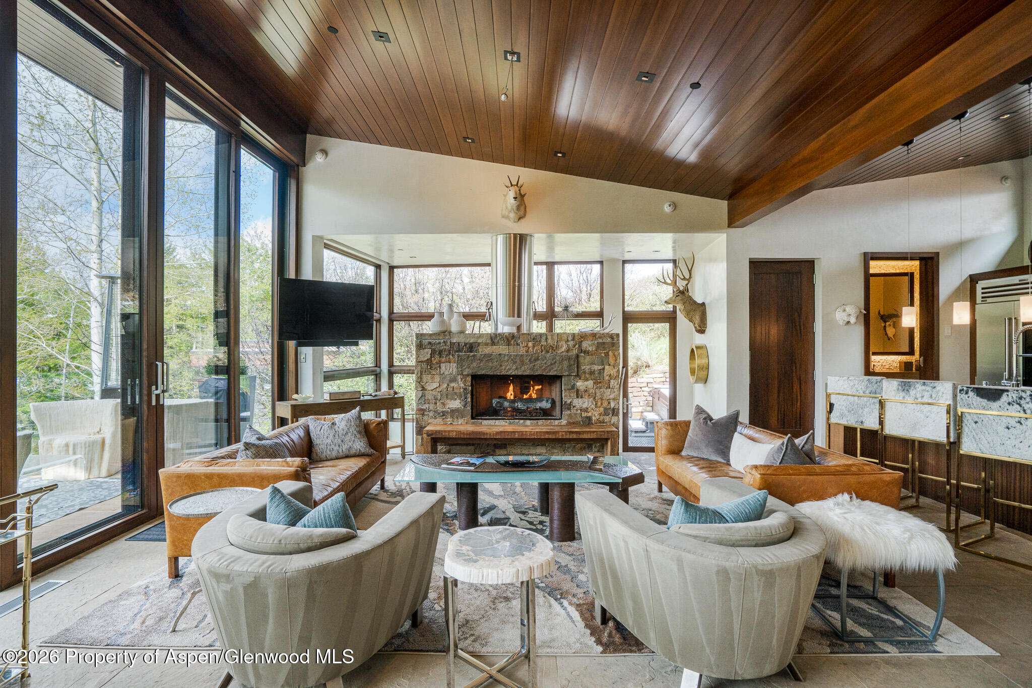 1564 Silver King Drive Aspen CO 81611