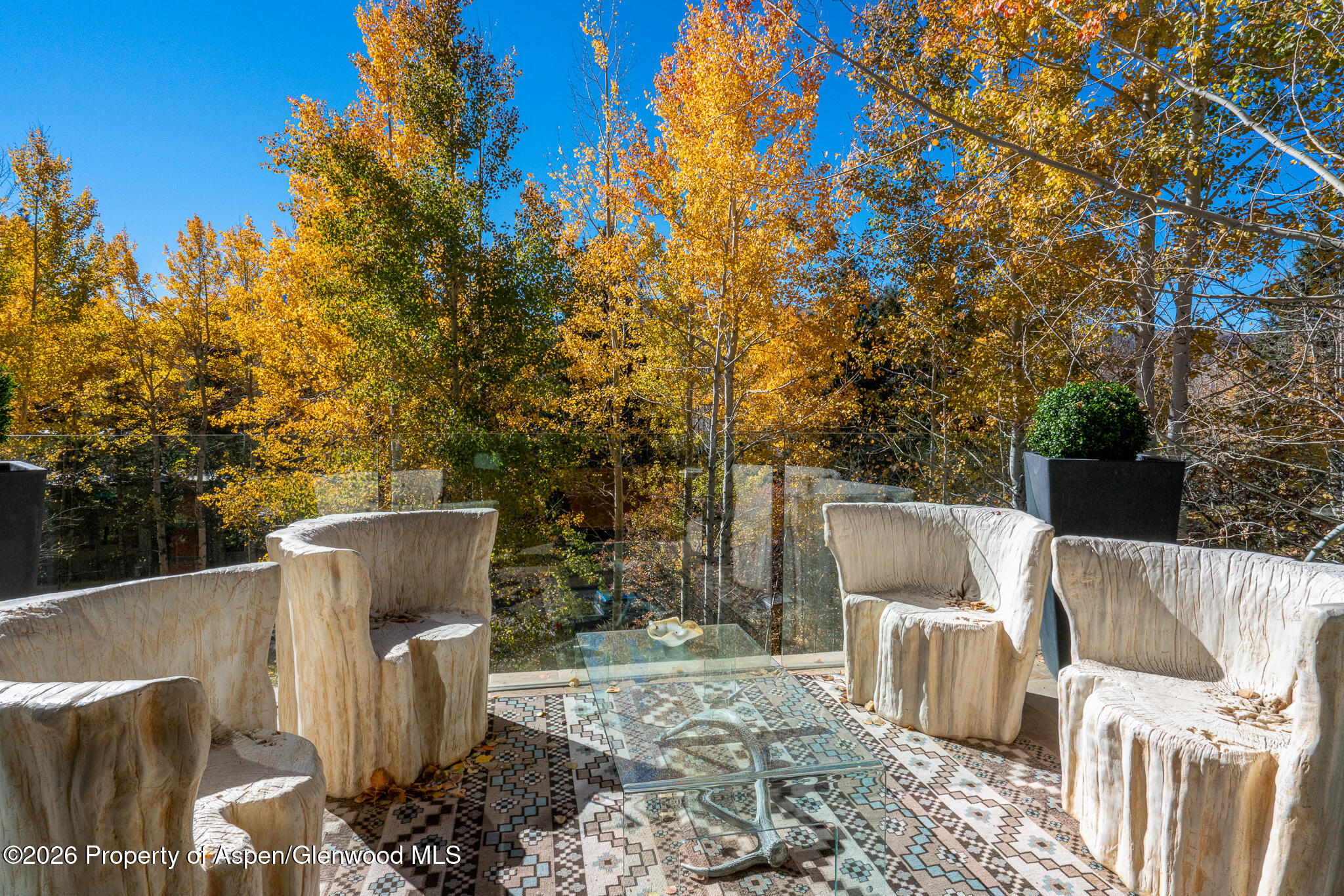 1564 Silver King Drive Aspen CO 81611
