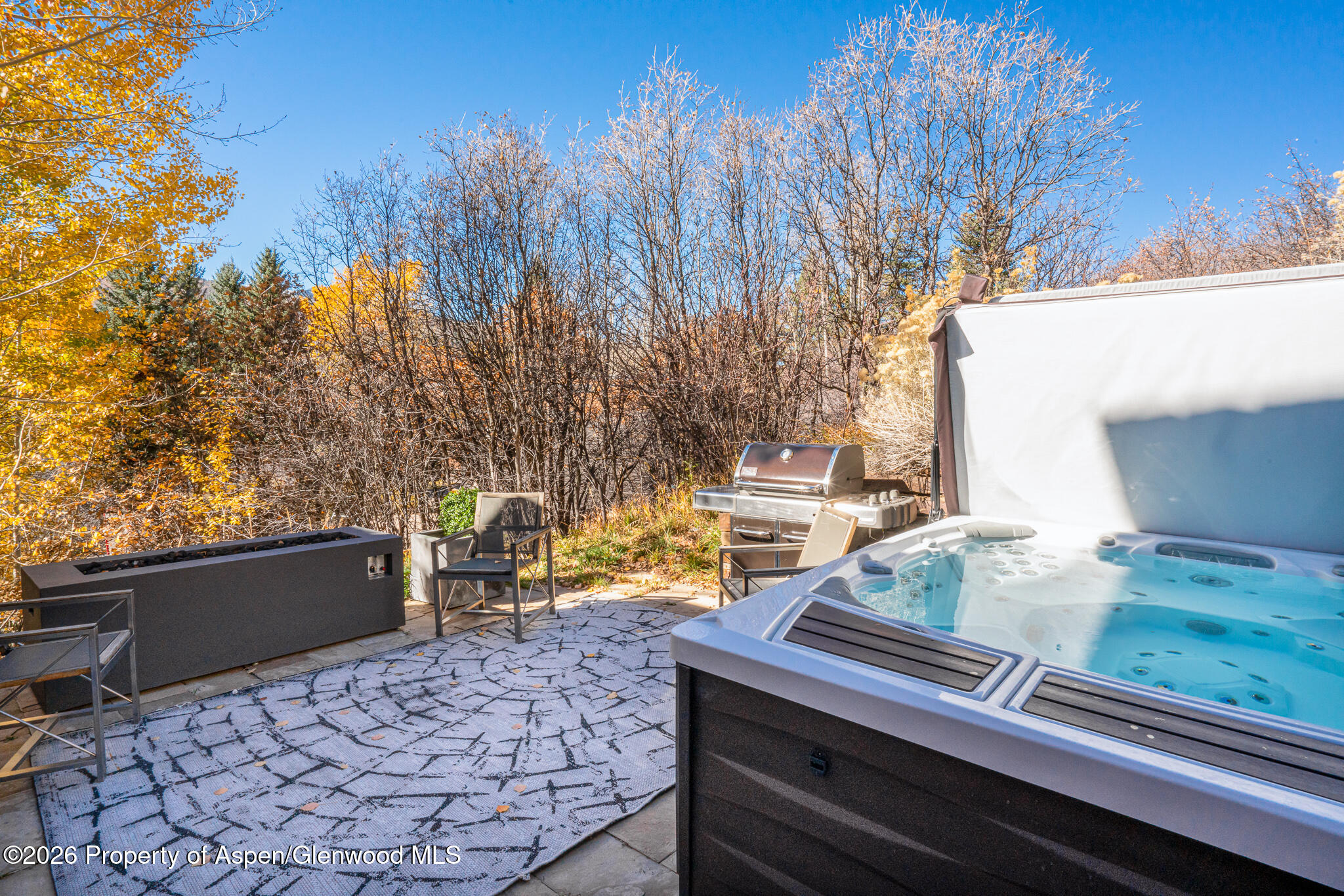 1564 Silver King Drive Aspen CO 81611