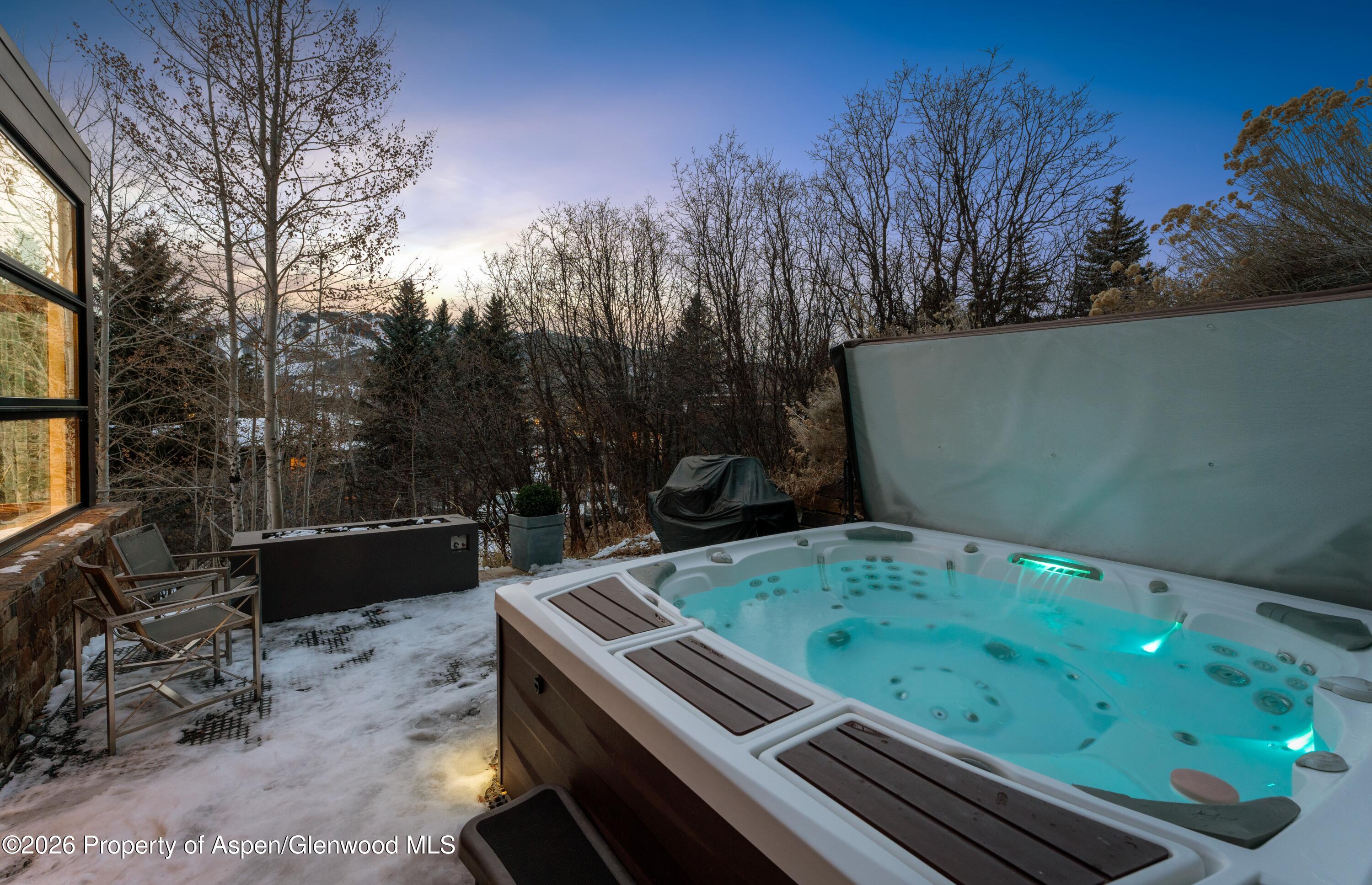 1564 Silver King Drive Aspen CO 81611