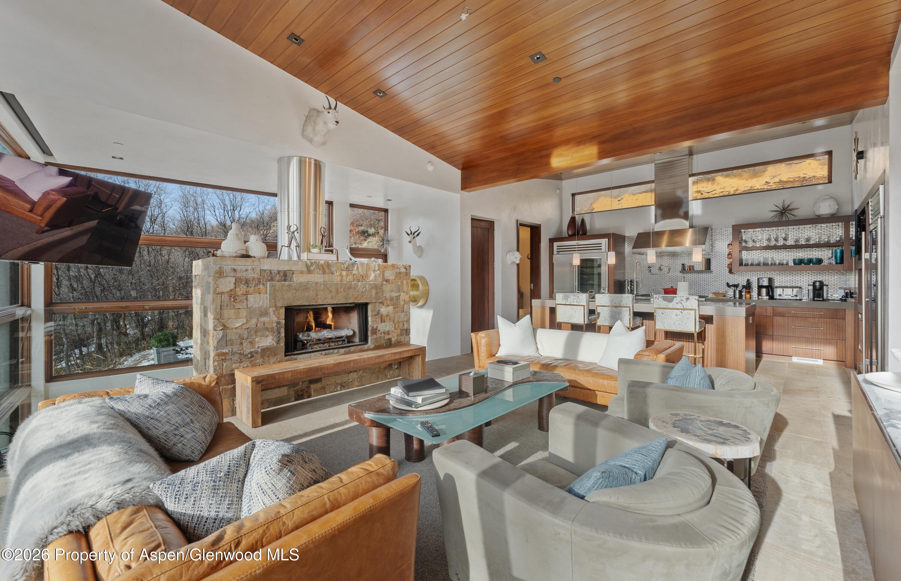 1564 Silver King Drive Aspen CO 81611