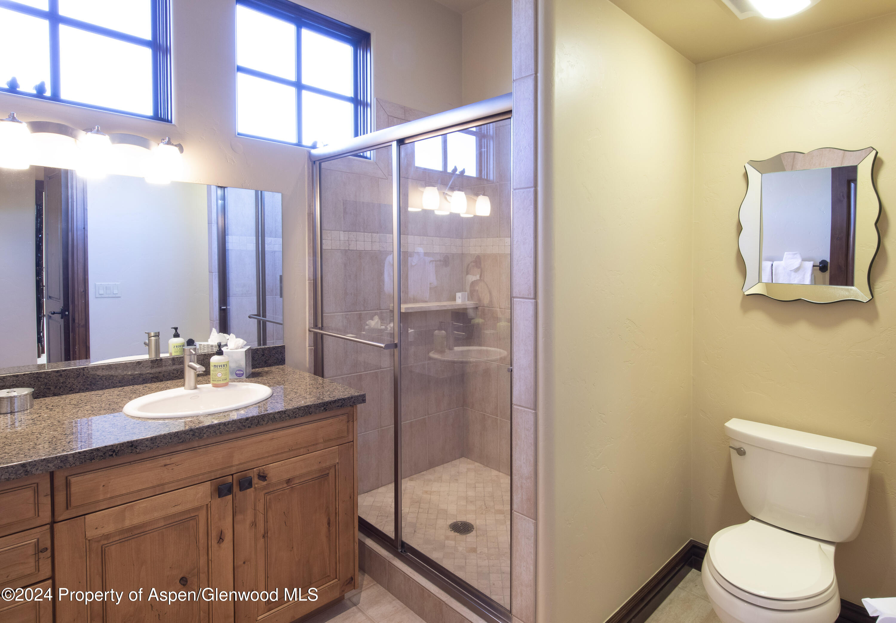 90 Cottage Drive Carbondale CO 81623