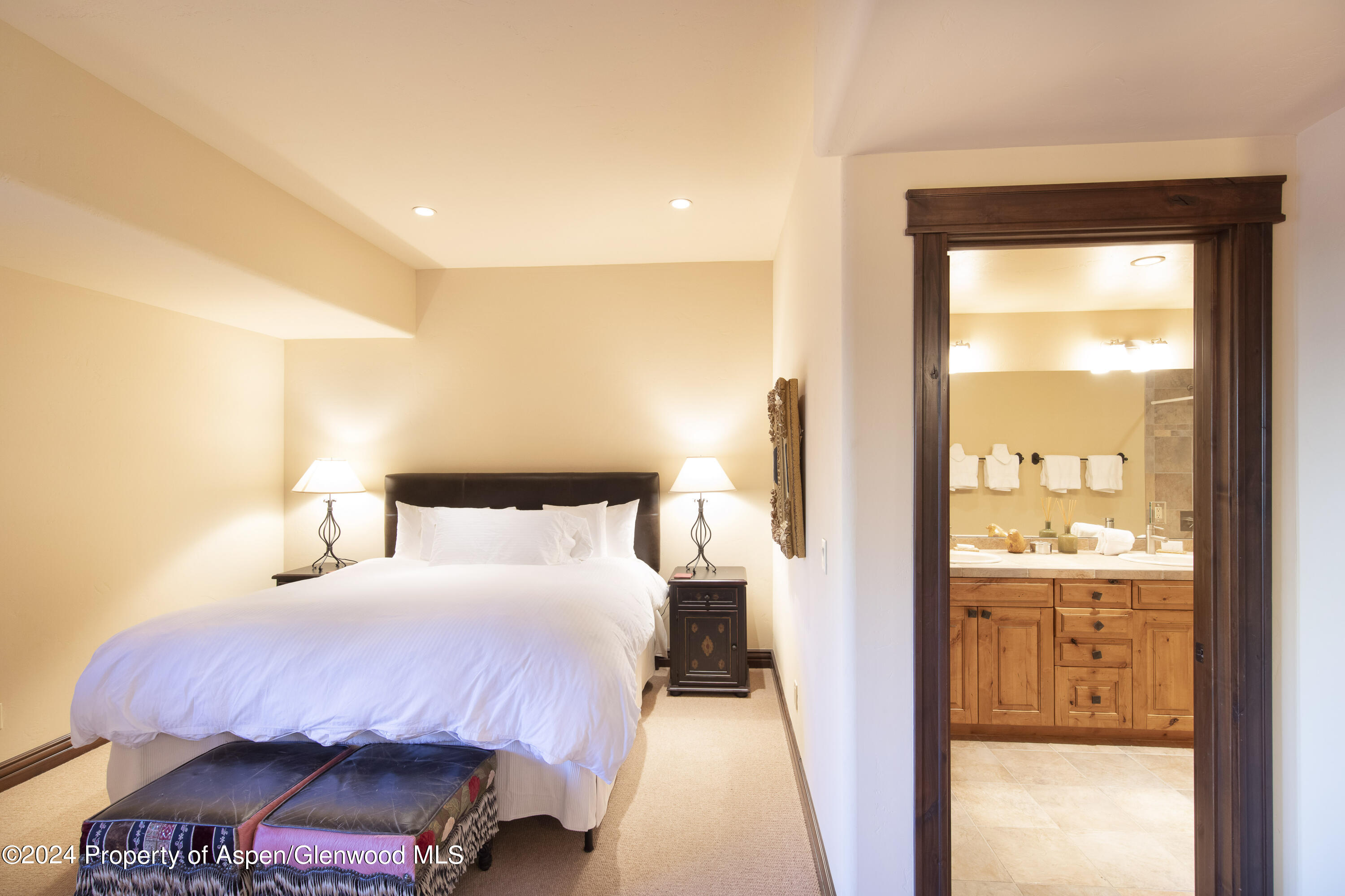 90 Cottage Drive Carbondale CO 81623