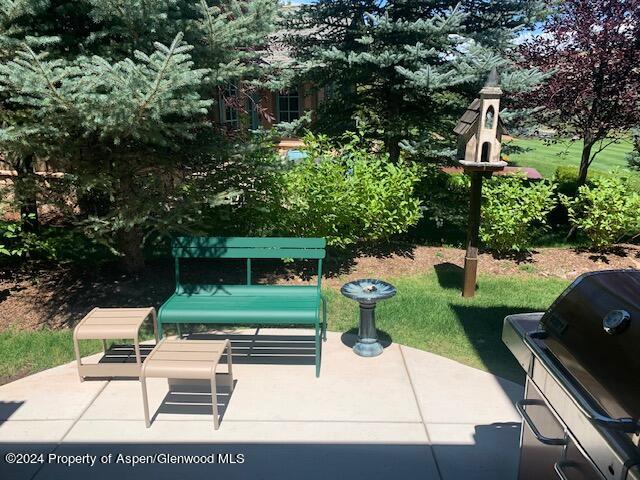 90 Cottage Drive Carbondale CO 81623