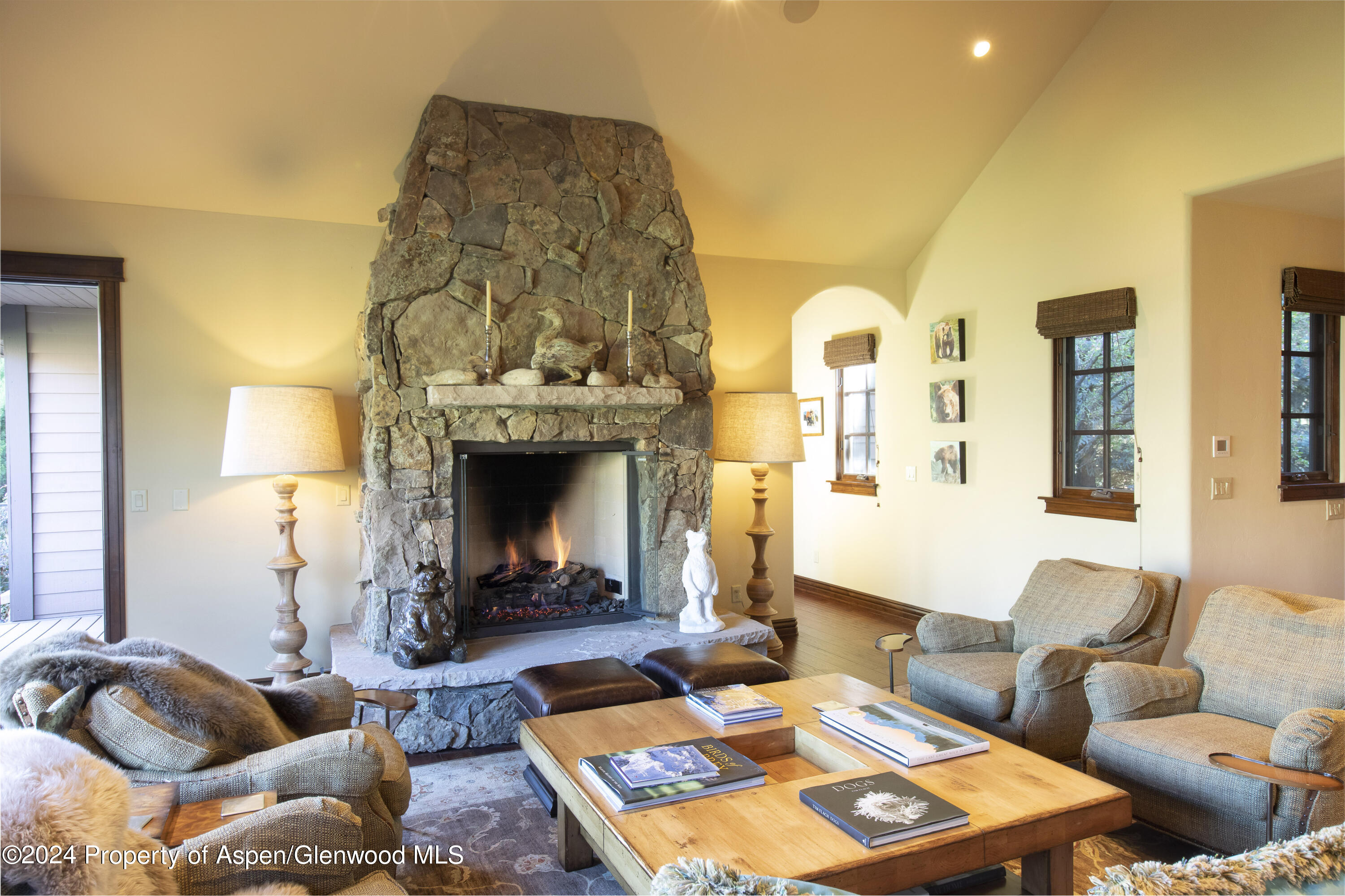 90 Cottage Drive Carbondale CO 81623