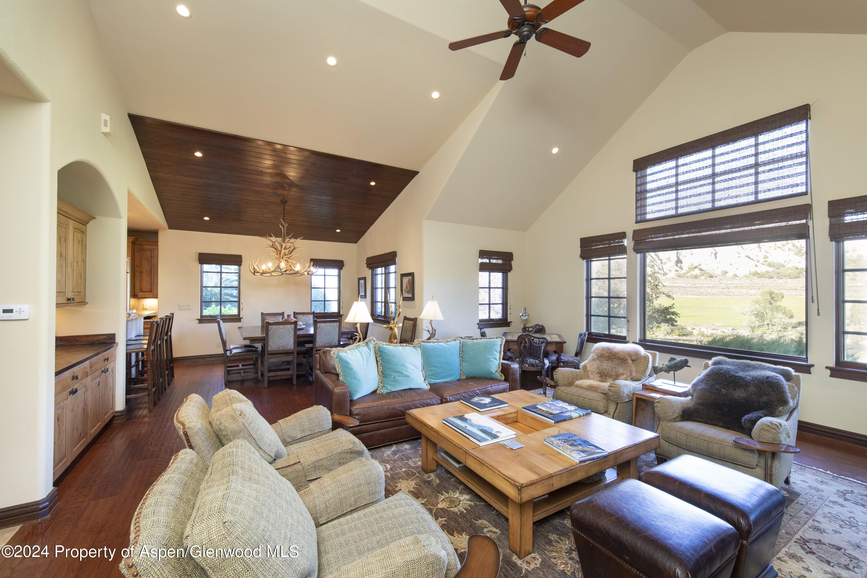 90 Cottage Drive Carbondale CO 81623