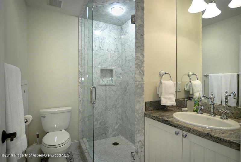 717 W Francis Street Aspen CO 81611