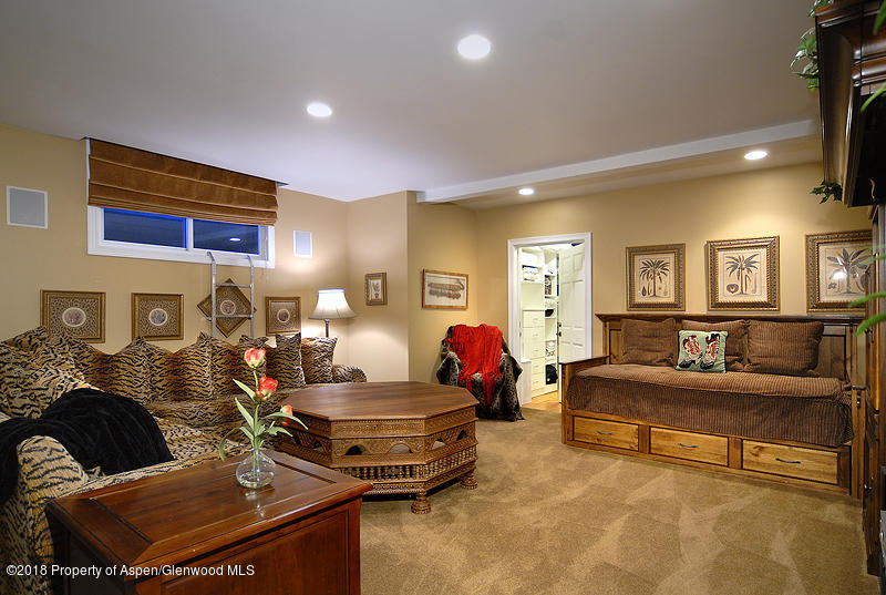 717 W Francis Street Aspen CO 81611