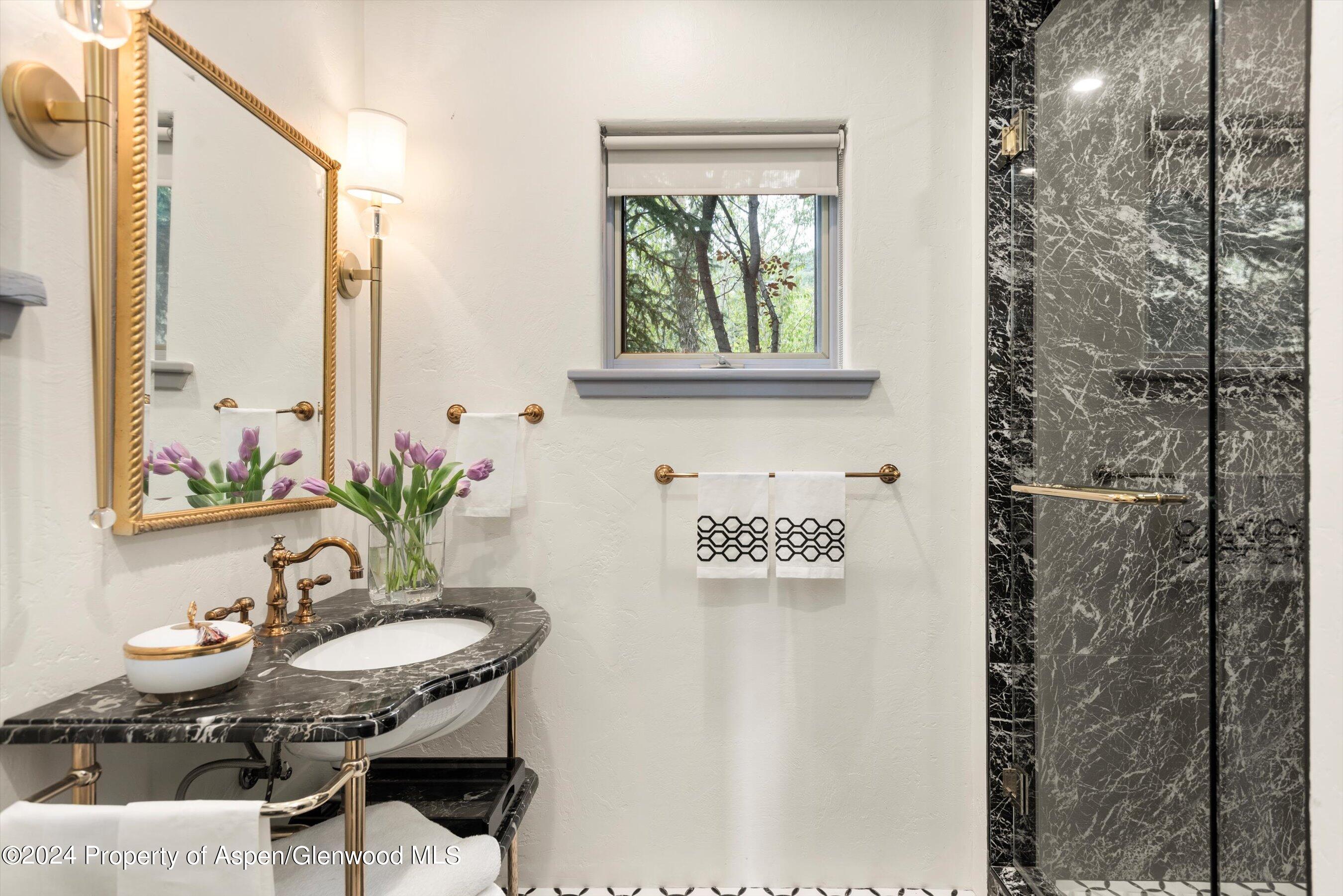 188 Branding Lane Snowmass Village CO 81615