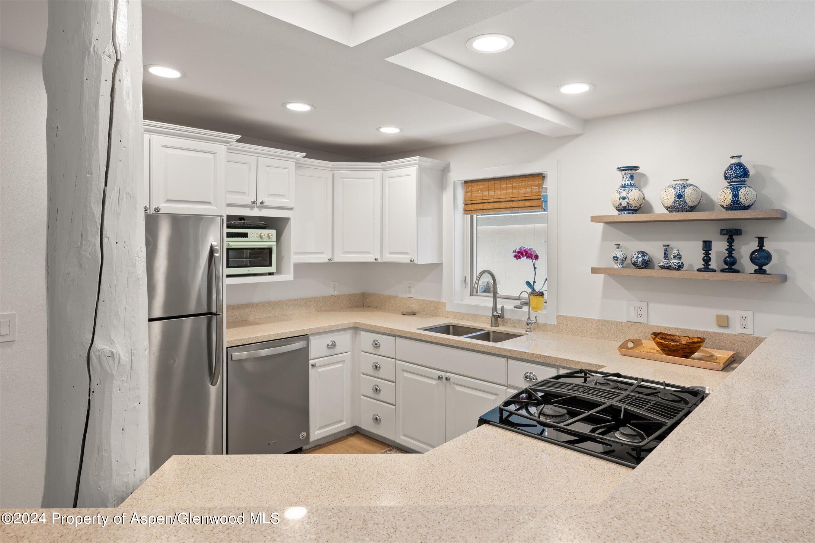 950 E Durant Avenue Aspen CO 81611