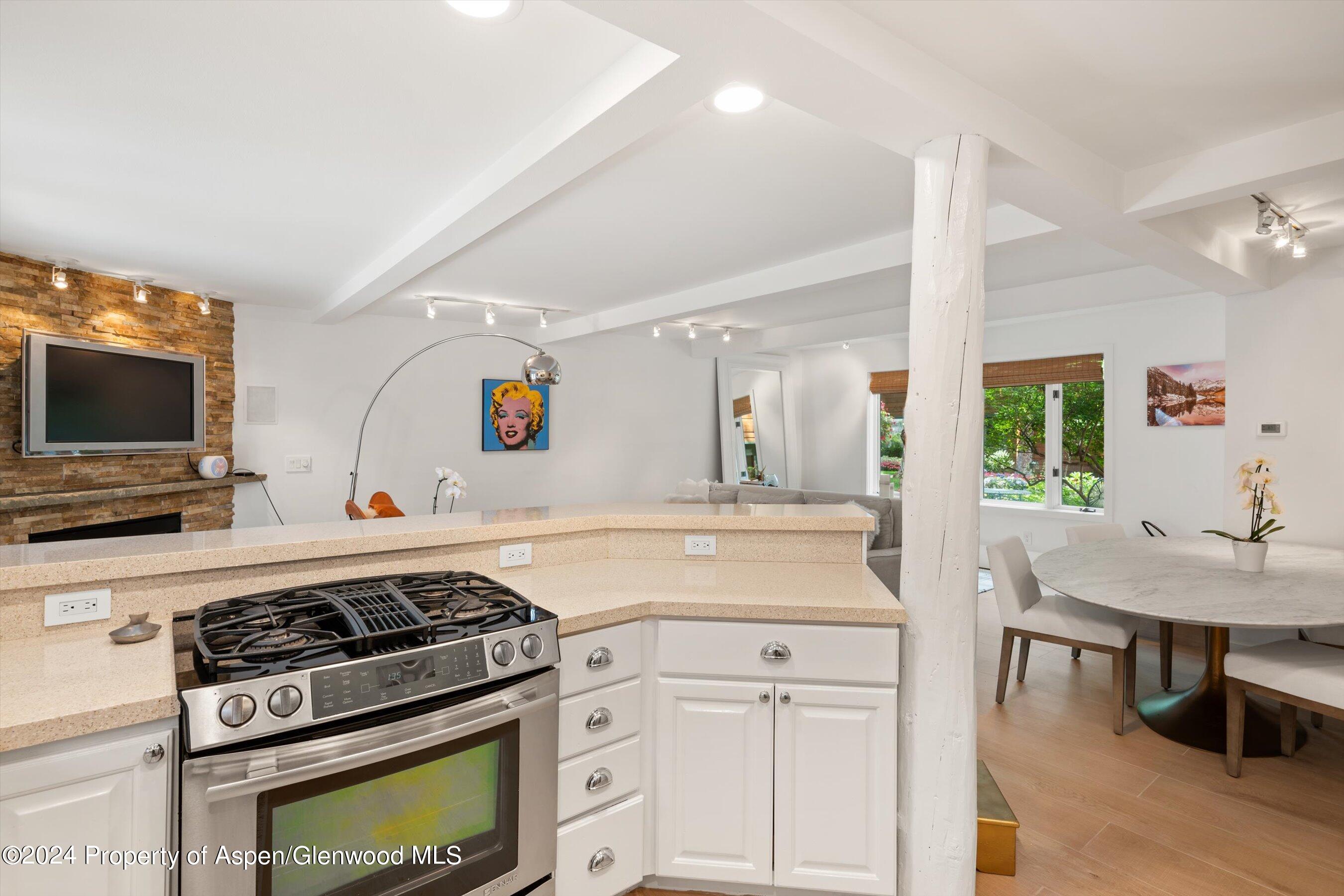 950 E Durant Avenue Aspen CO 81611