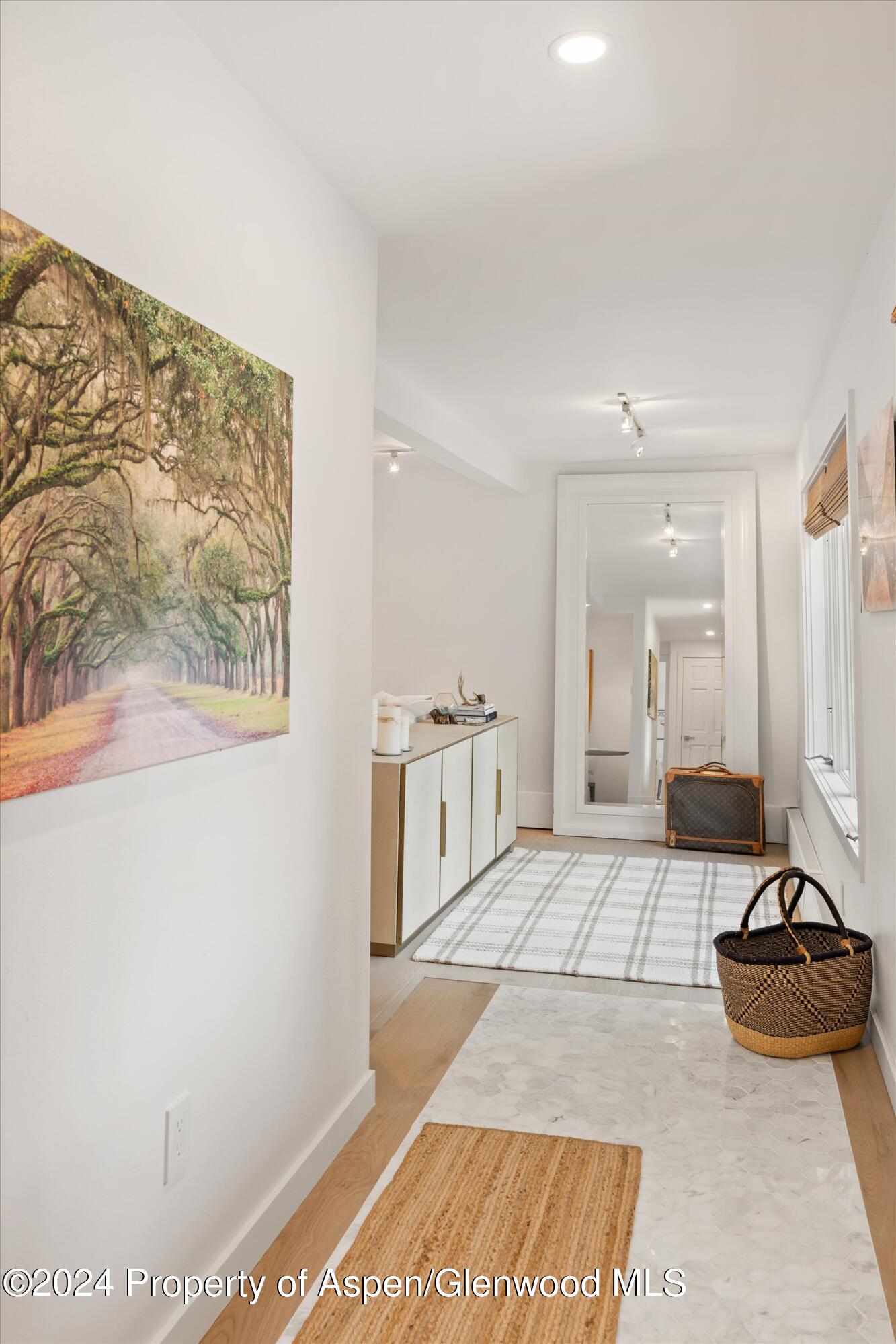 950 E Durant Avenue Aspen CO 81611