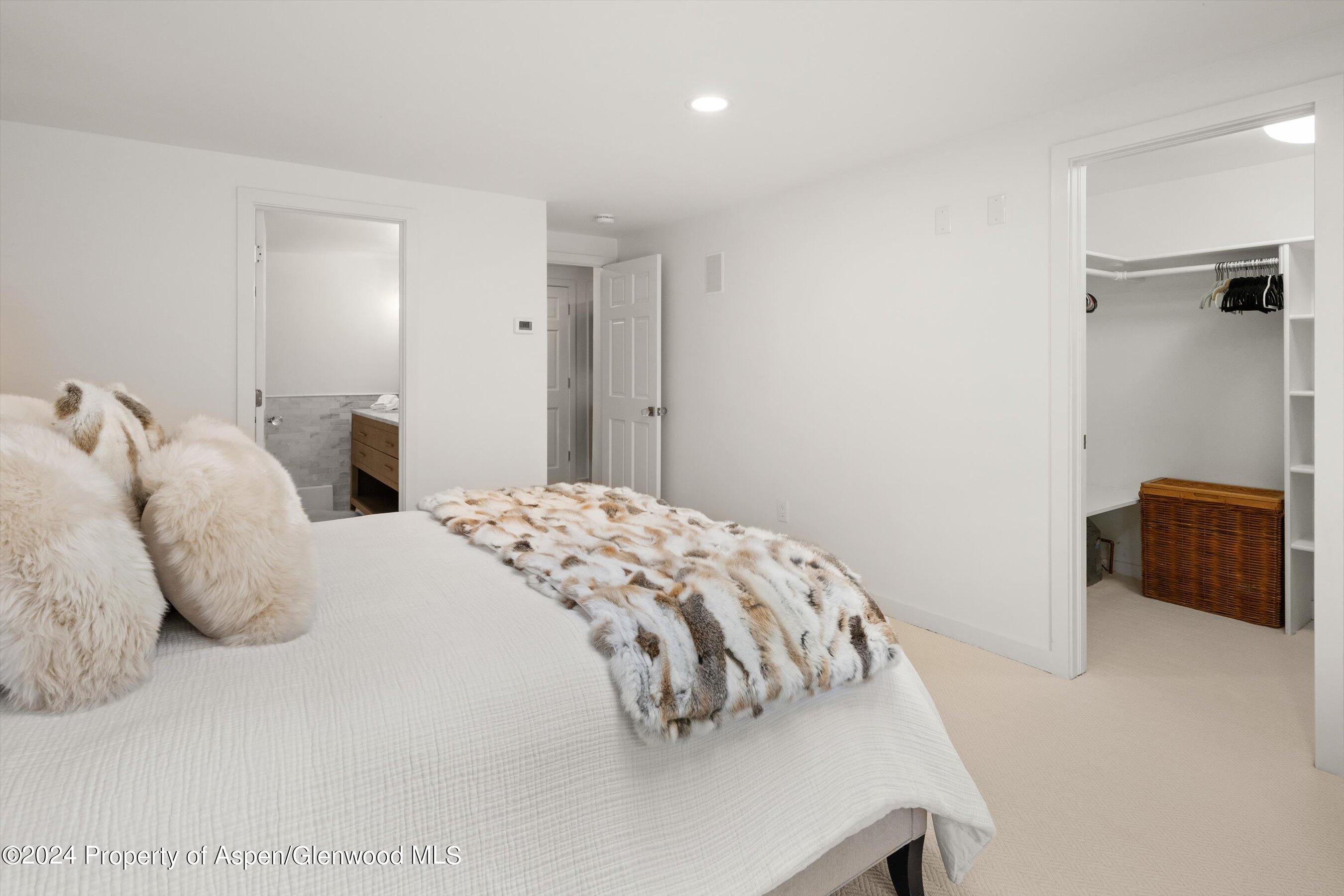 950 E Durant Avenue Aspen CO 81611