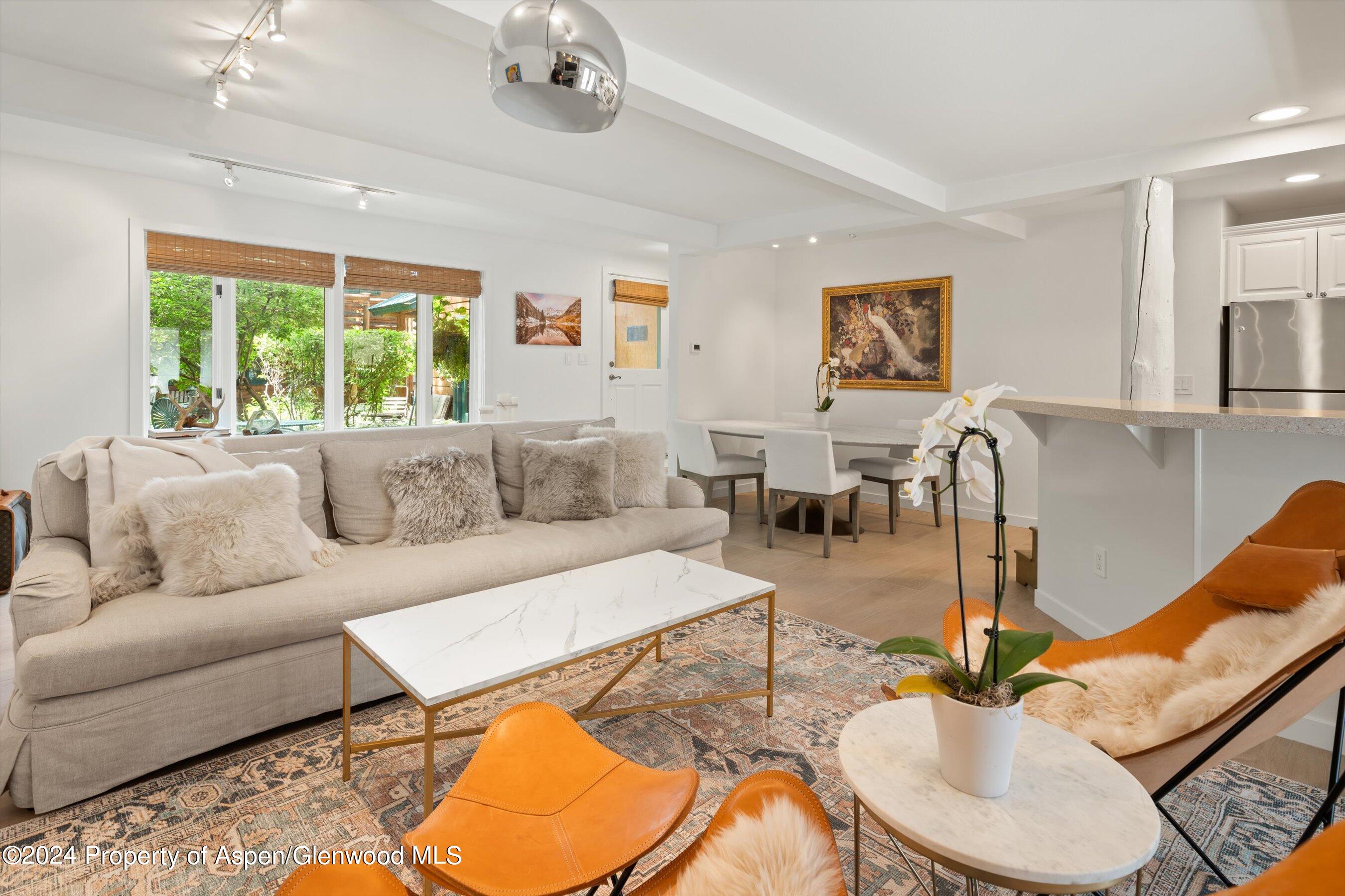 950 E Durant Avenue Aspen CO 81611