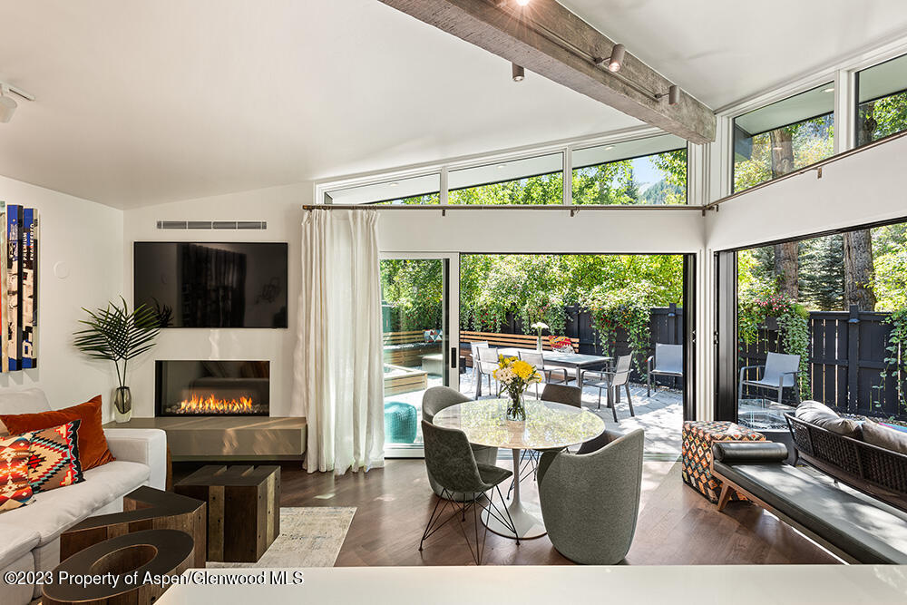 630 W Hallam Street Aspen CO 81611