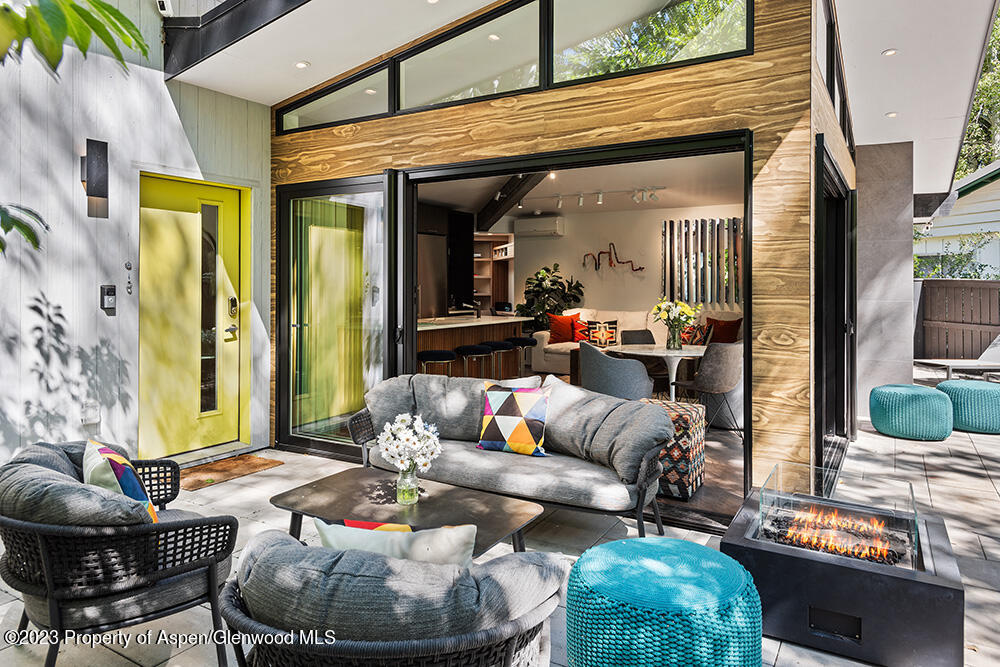 630 W Hallam Street Aspen CO 81611