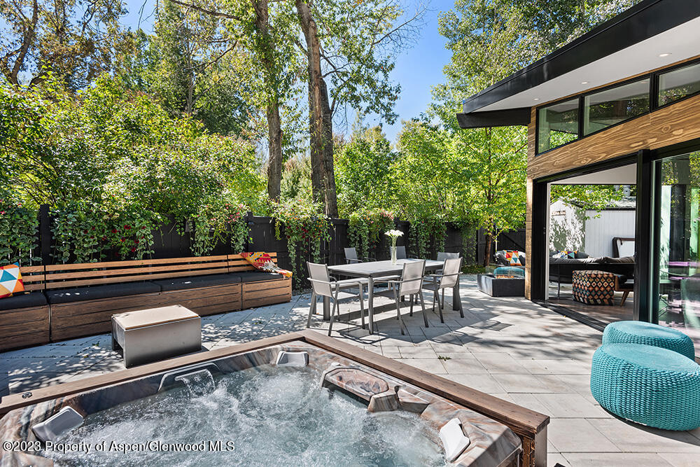 630 W Hallam Street Aspen CO 81611