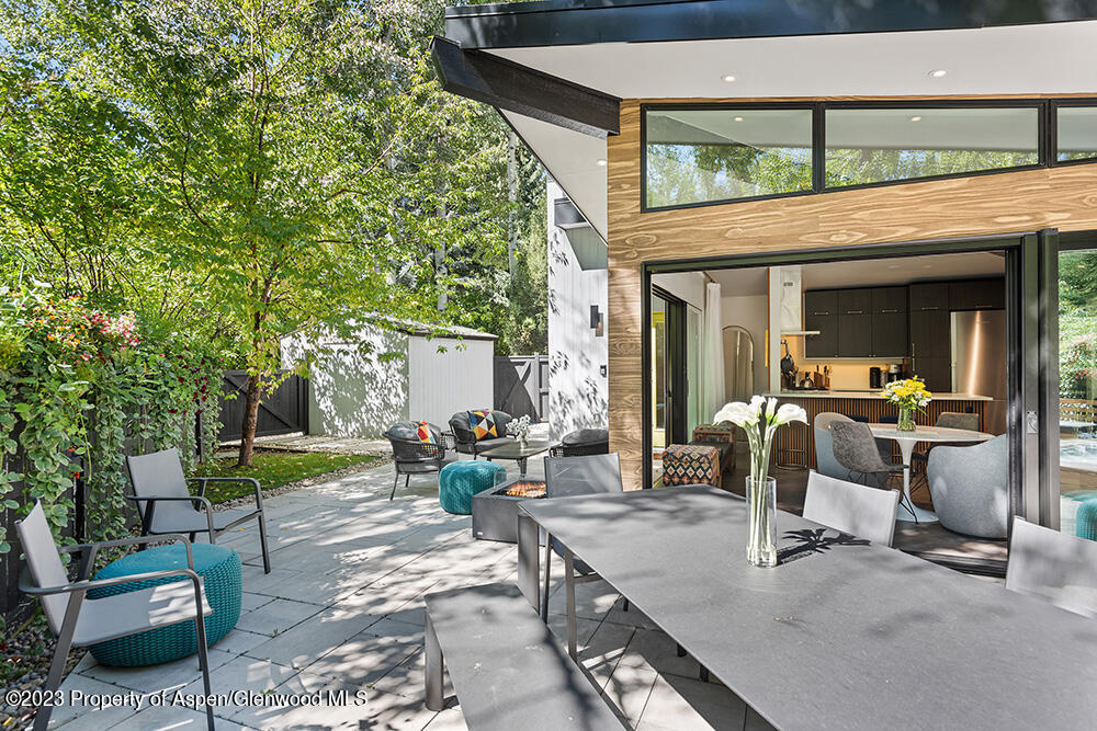 630 W Hallam Street Aspen CO 81611