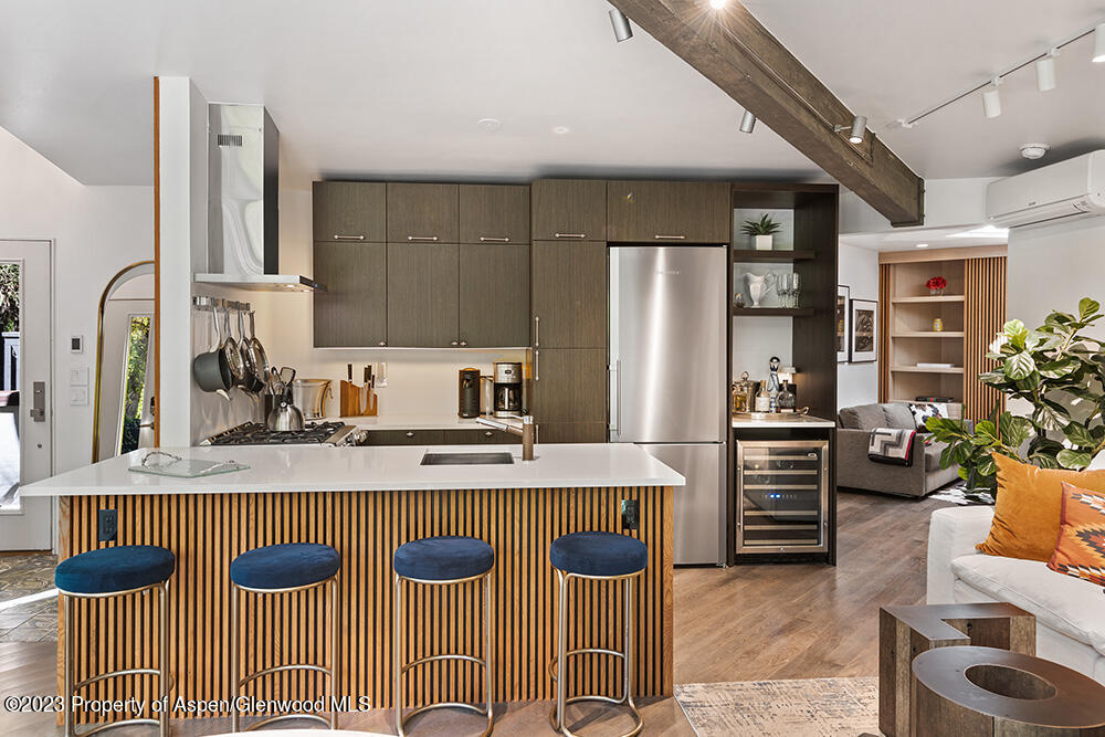 630 W Hallam Street Aspen CO 81611