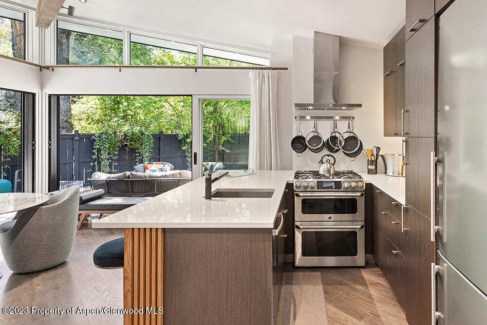 630 W Hallam Street Aspen CO 81611