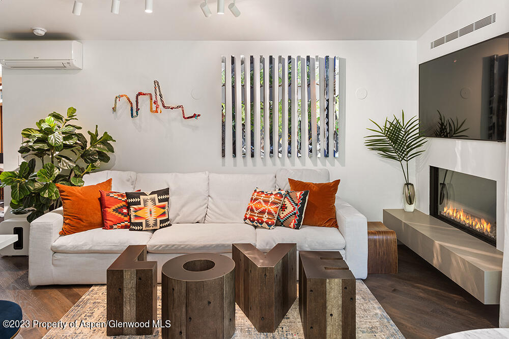 630 W Hallam Street Aspen CO 81611