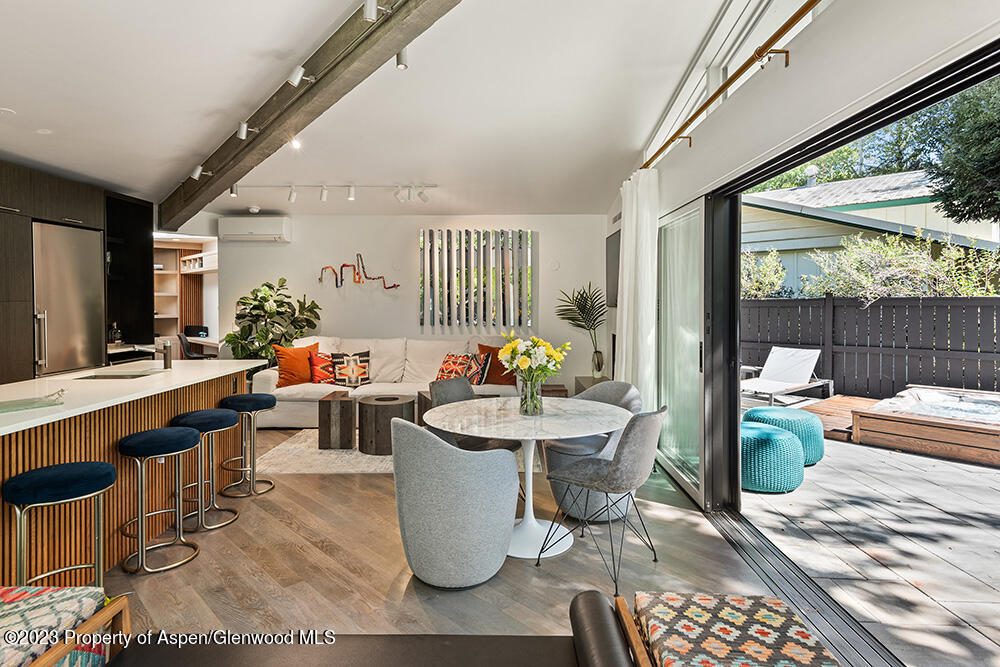 630 W Hallam Street Aspen CO 81611