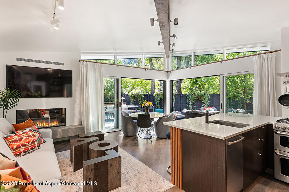 630 W Hallam Street Aspen CO 81611