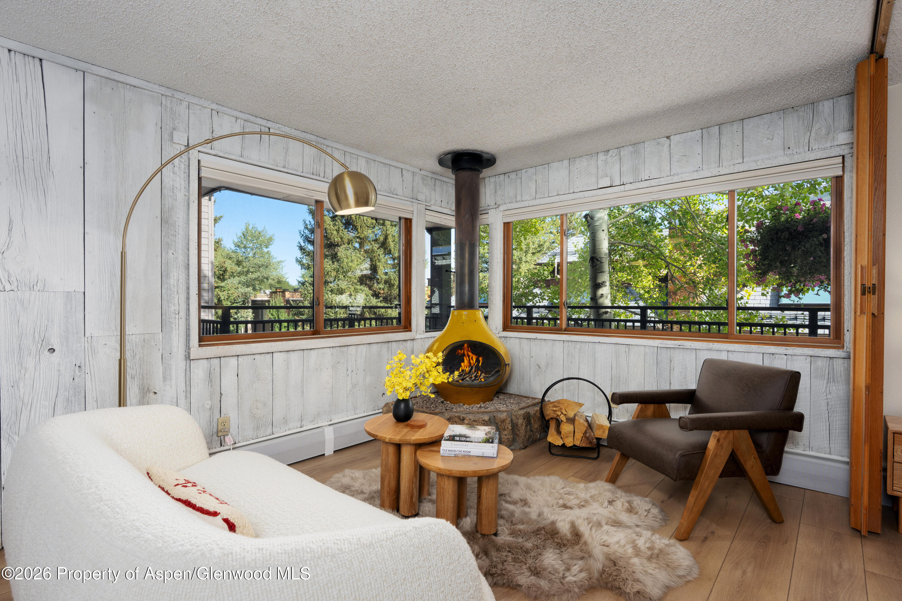 700 S Monarch Street Aspen CO 81611