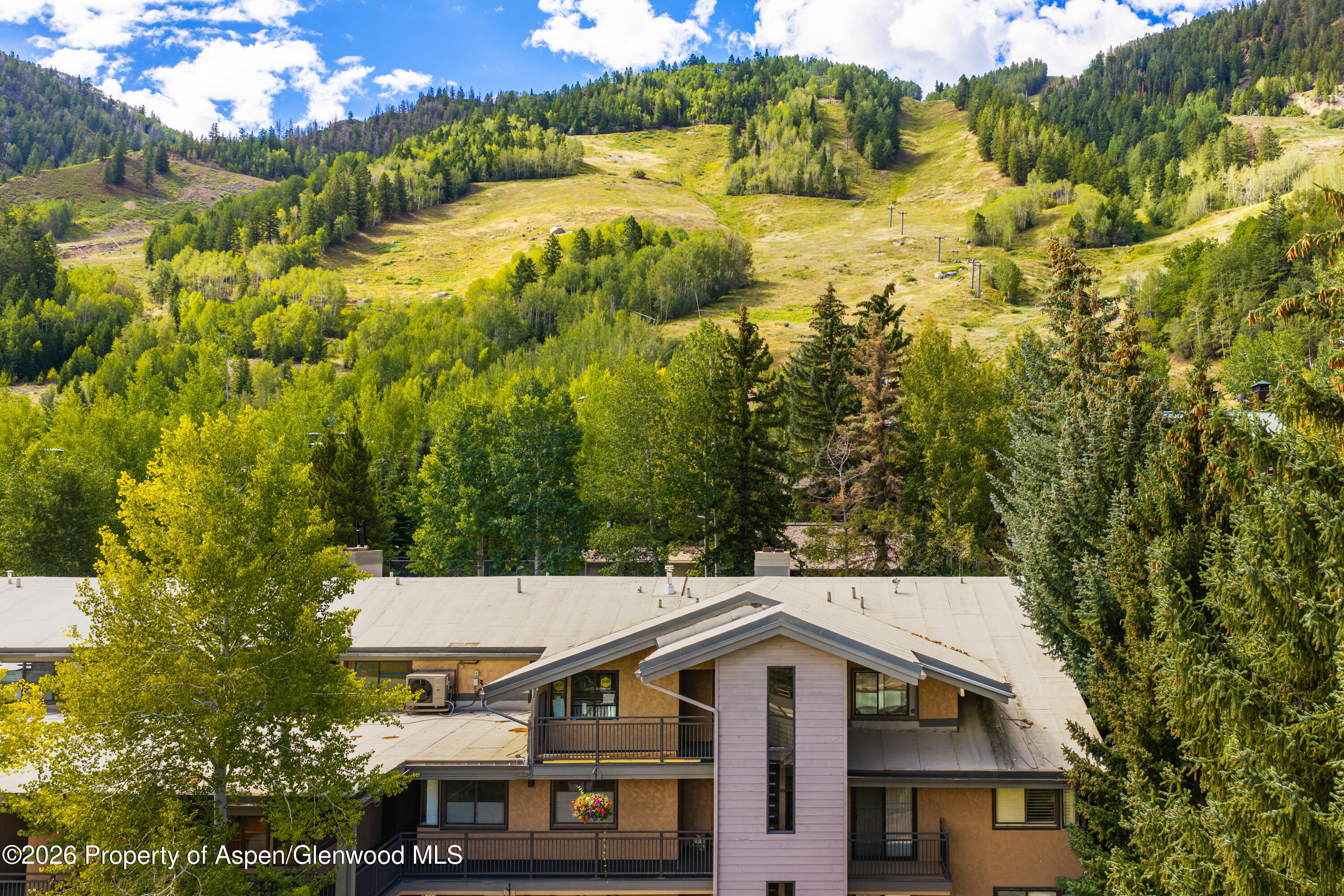 700 S Monarch Street Aspen CO 81611