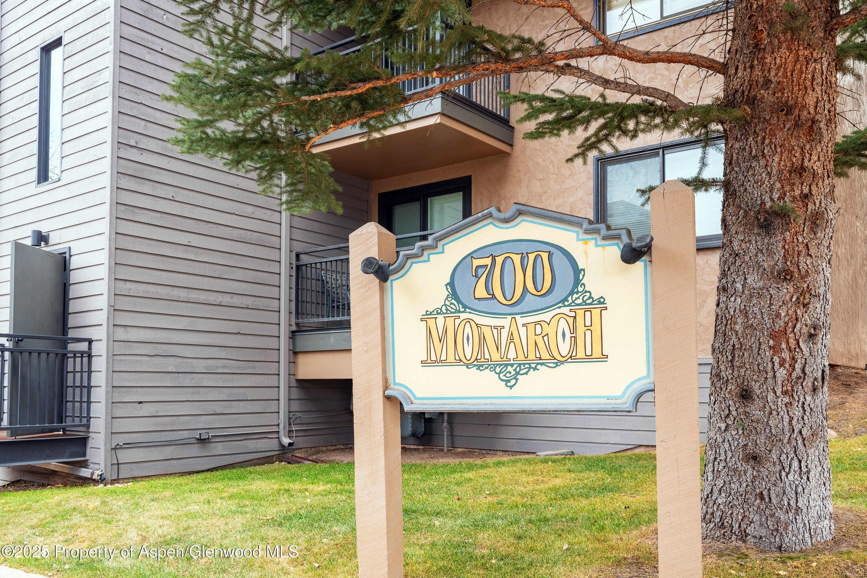 700 S Monarch Street Aspen CO 81611