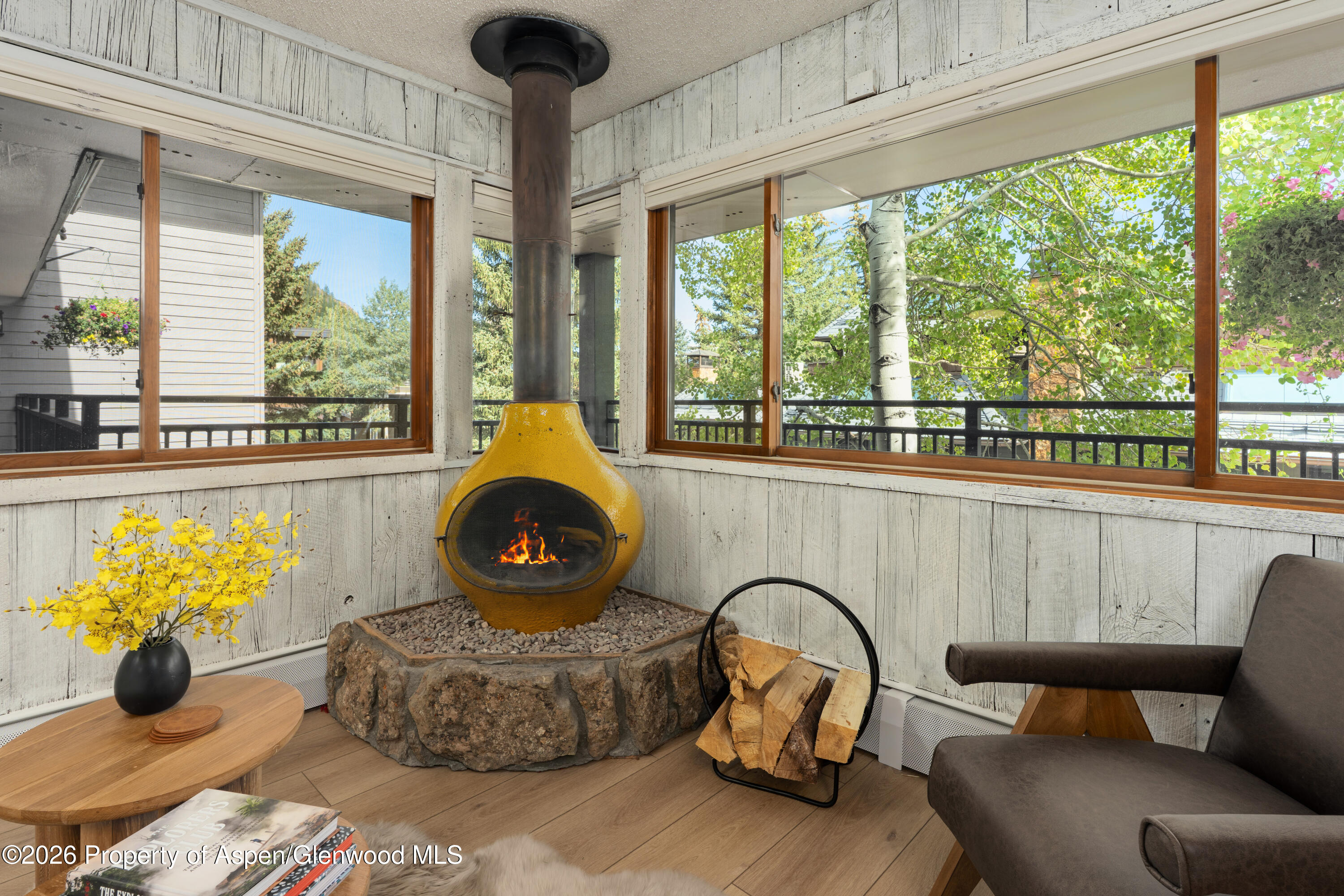 700 S Monarch Street Aspen CO 81611