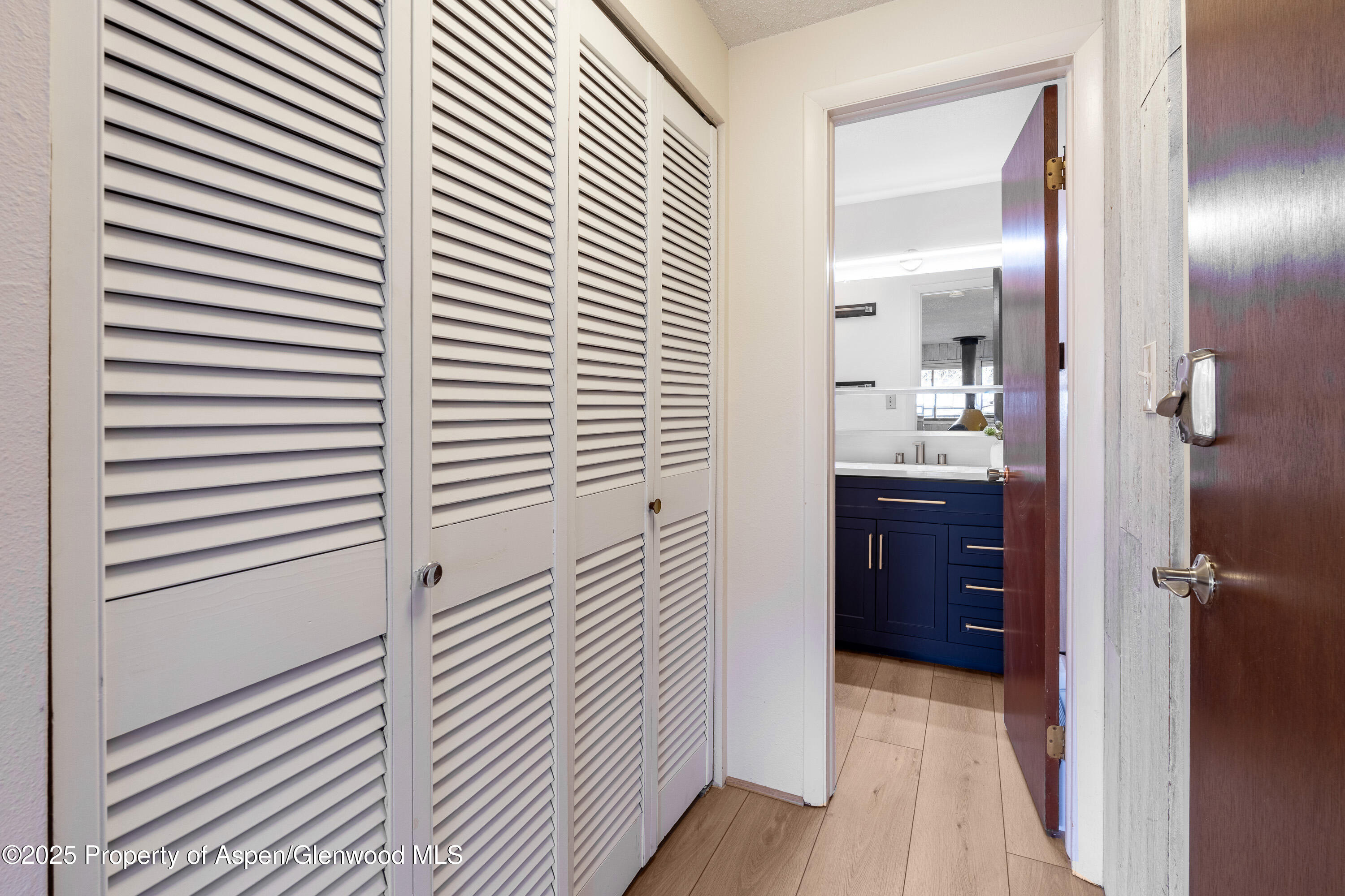 700 S Monarch Street Aspen CO 81611