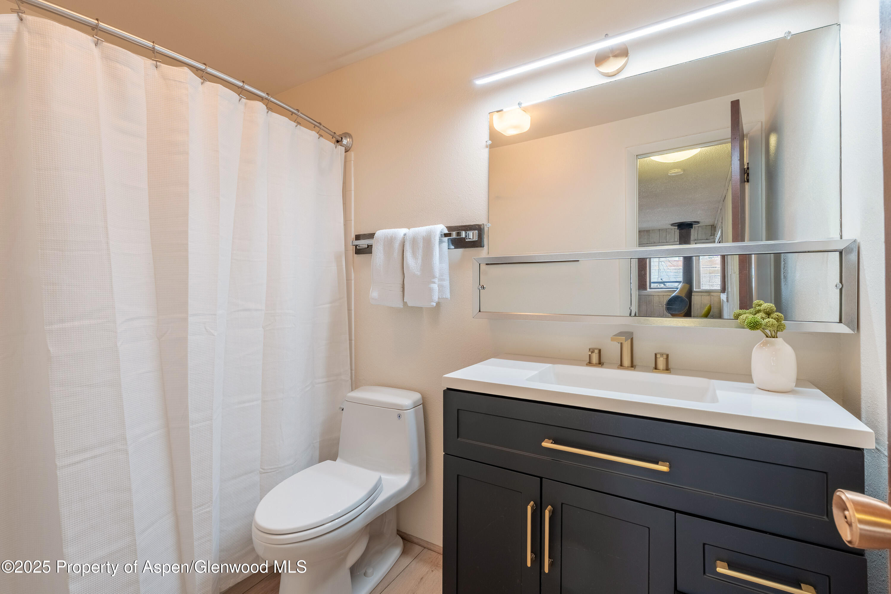 700 S Monarch Street Aspen CO 81611