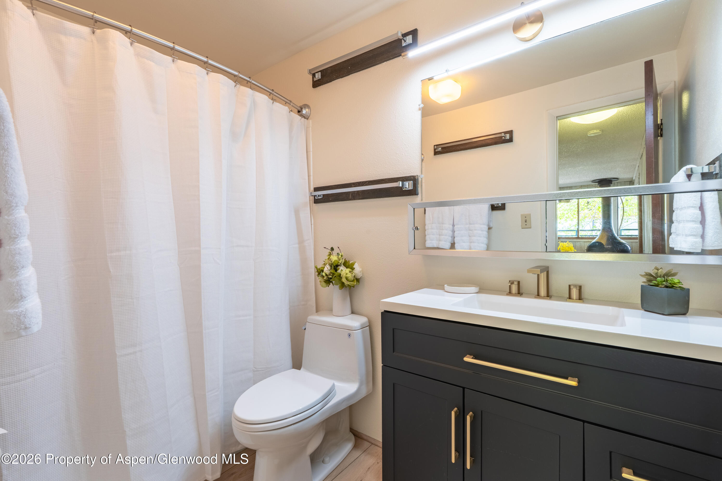 700 S Monarch Street Aspen CO 81611
