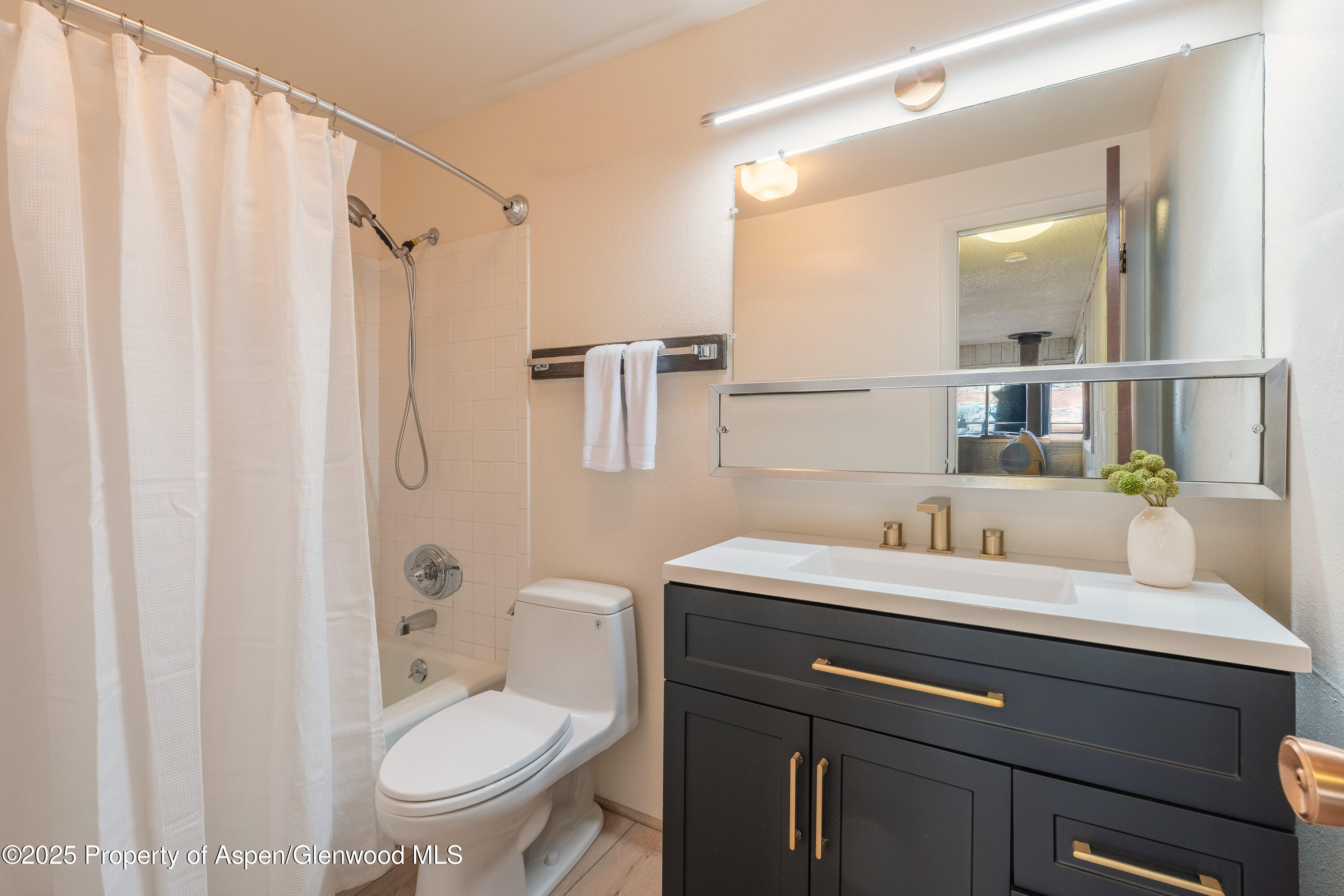 700 S Monarch Street Aspen CO 81611