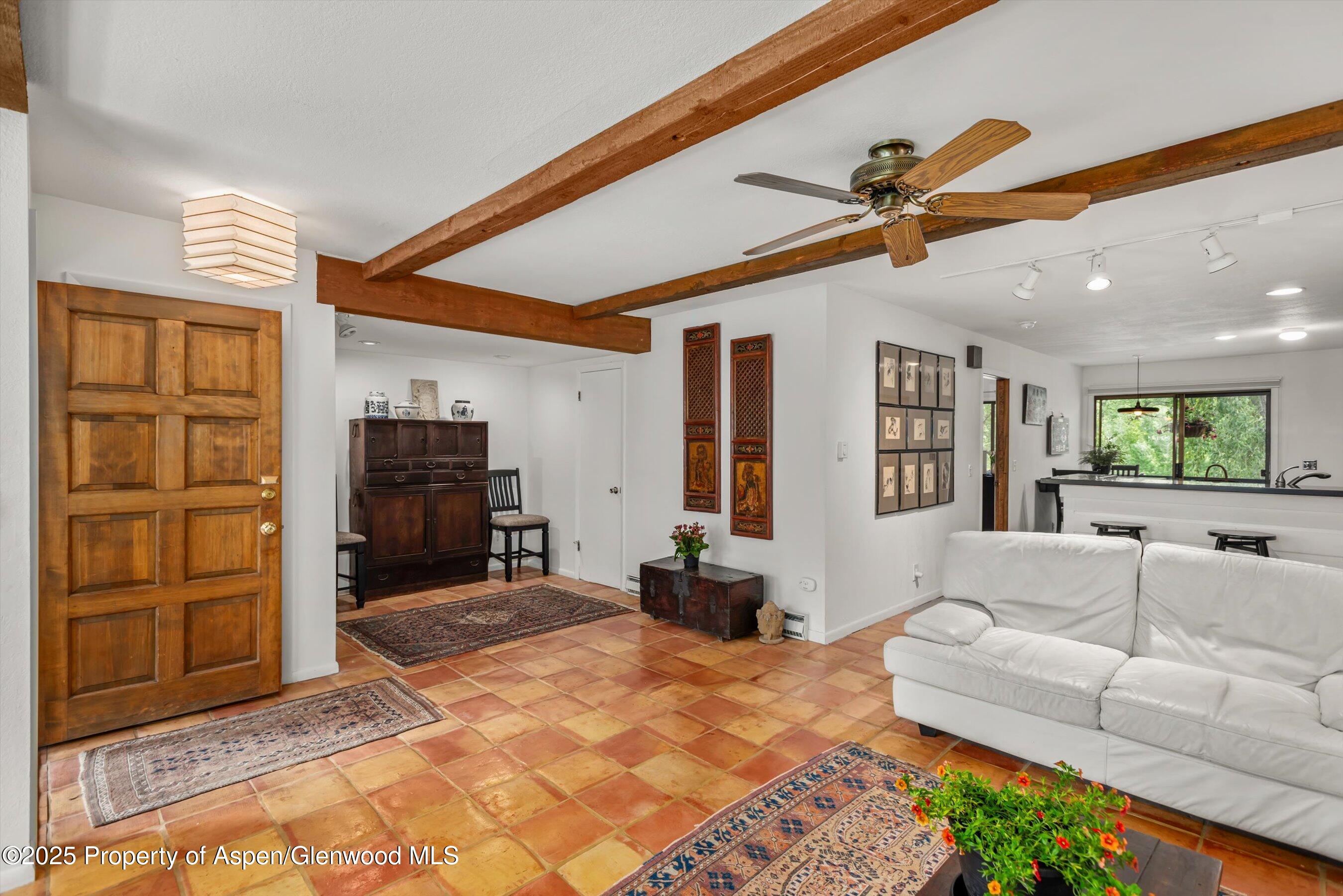 824 E Hopkins Avenue Aspen CO 81611