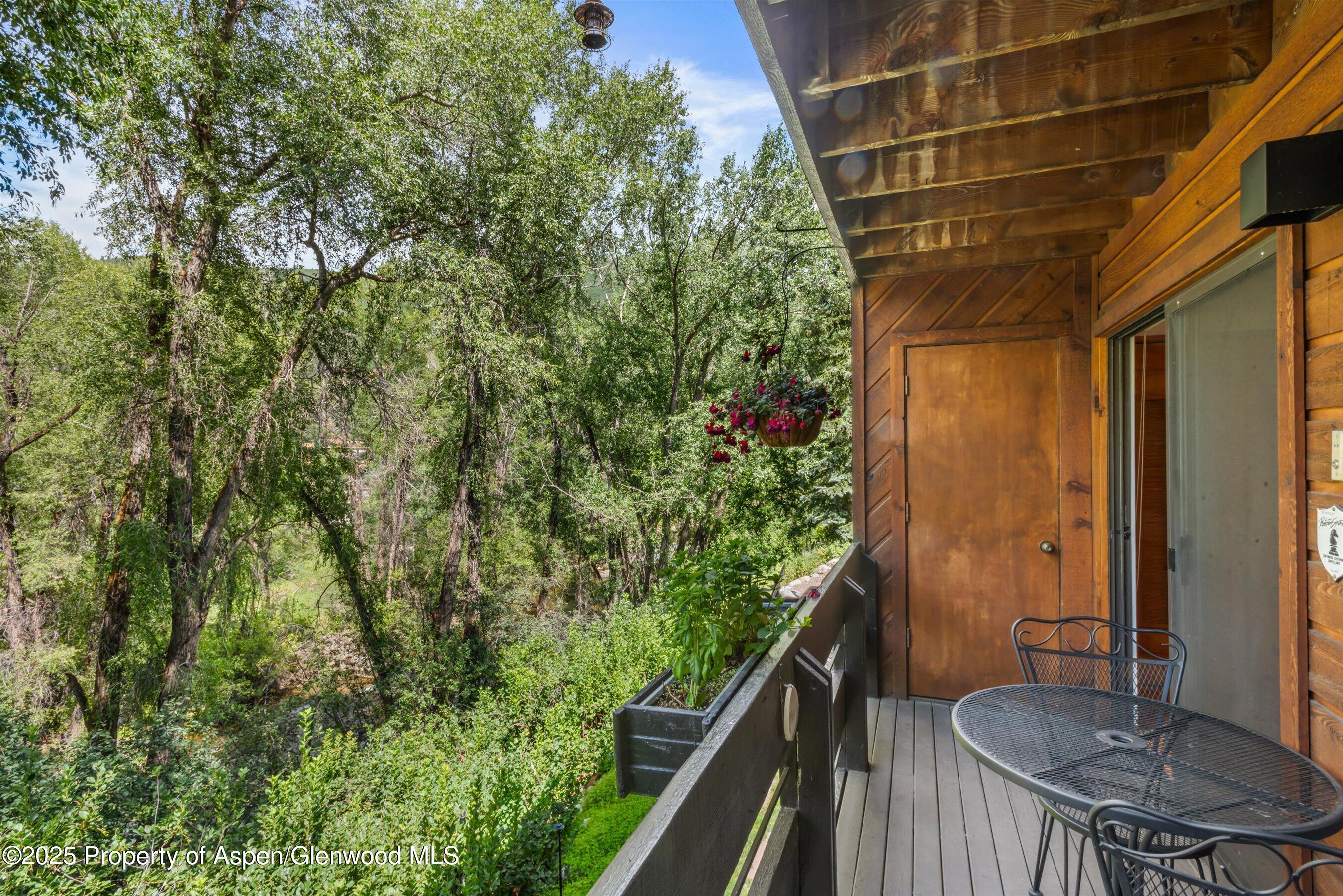 824 E Hopkins Avenue Aspen CO 81611