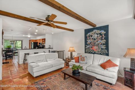 824 E Hopkins Avenue Aspen CO 81611