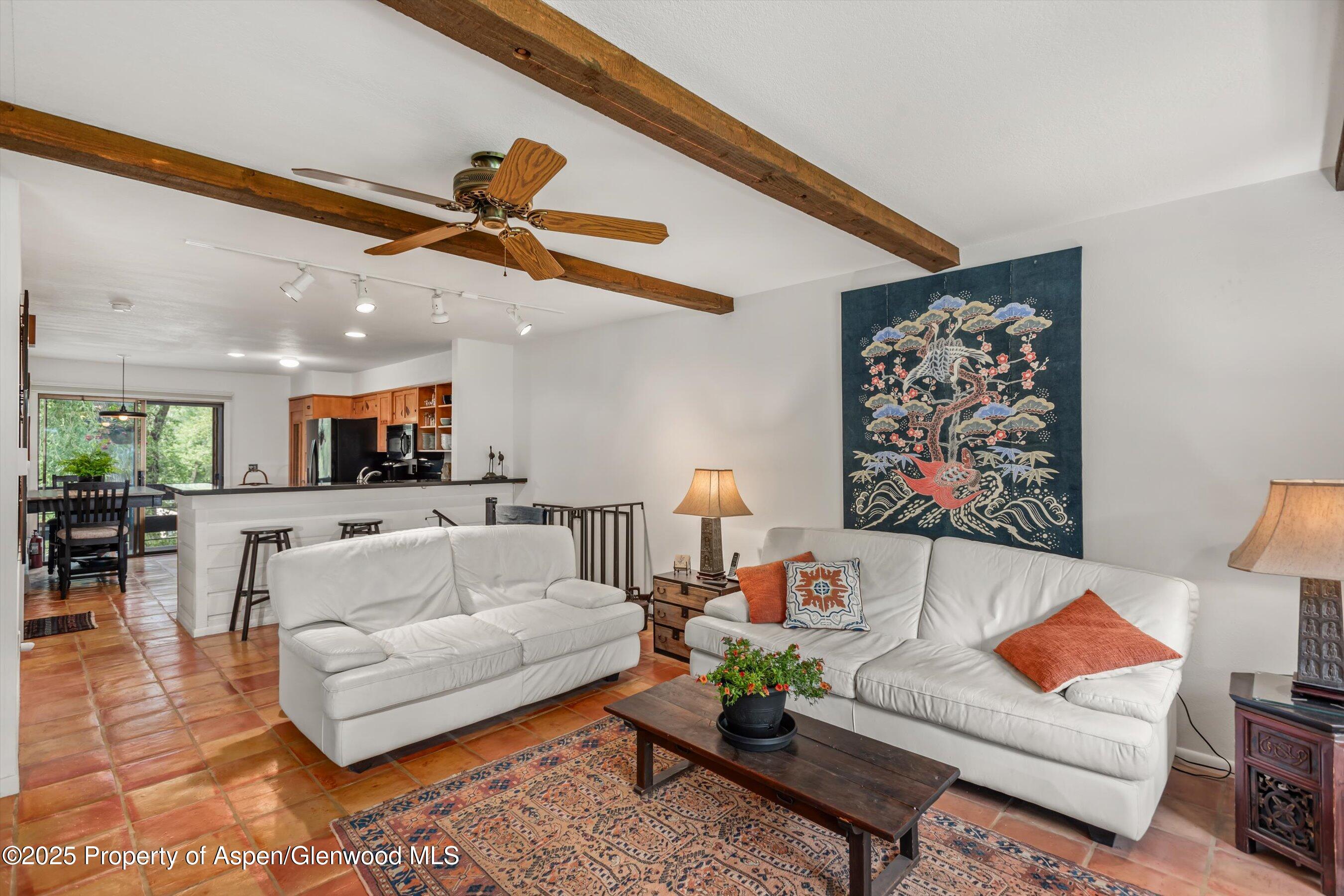 824 E Hopkins Avenue Aspen CO 81611