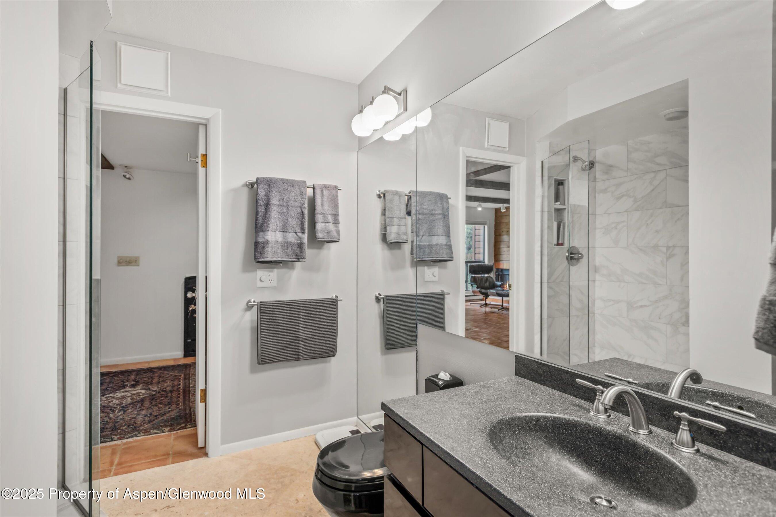 824 E Hopkins Avenue Aspen CO 81611