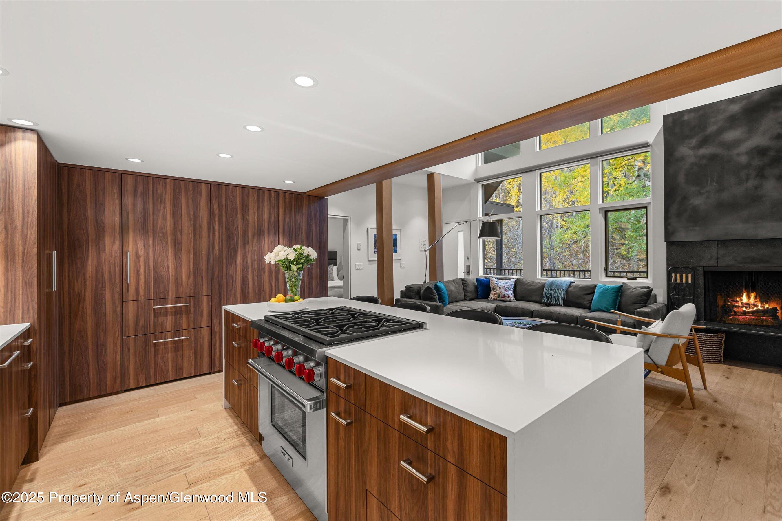 800 S Mill Street Aspen CO 81611