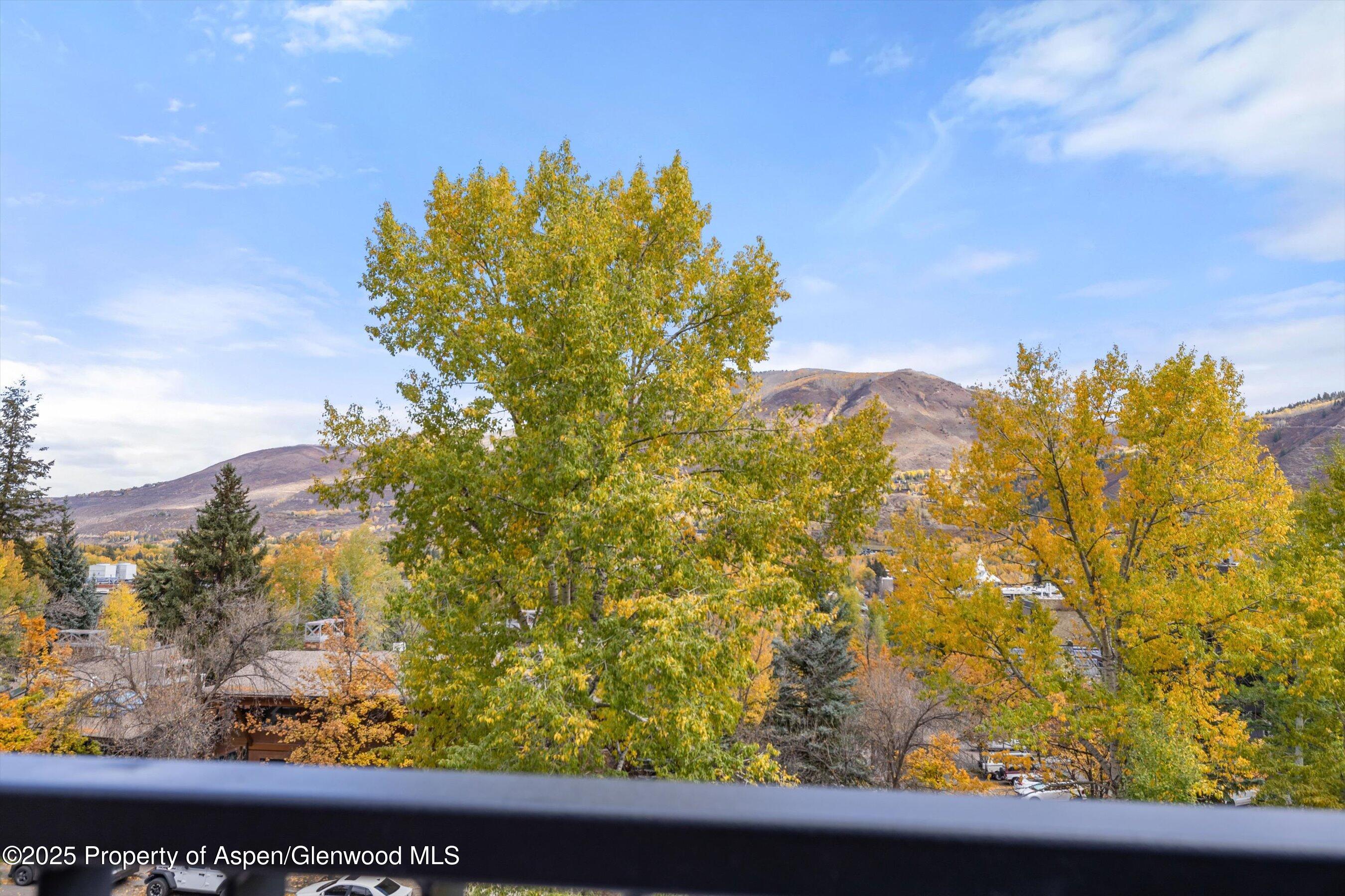 800 S Mill Street Aspen CO 81611