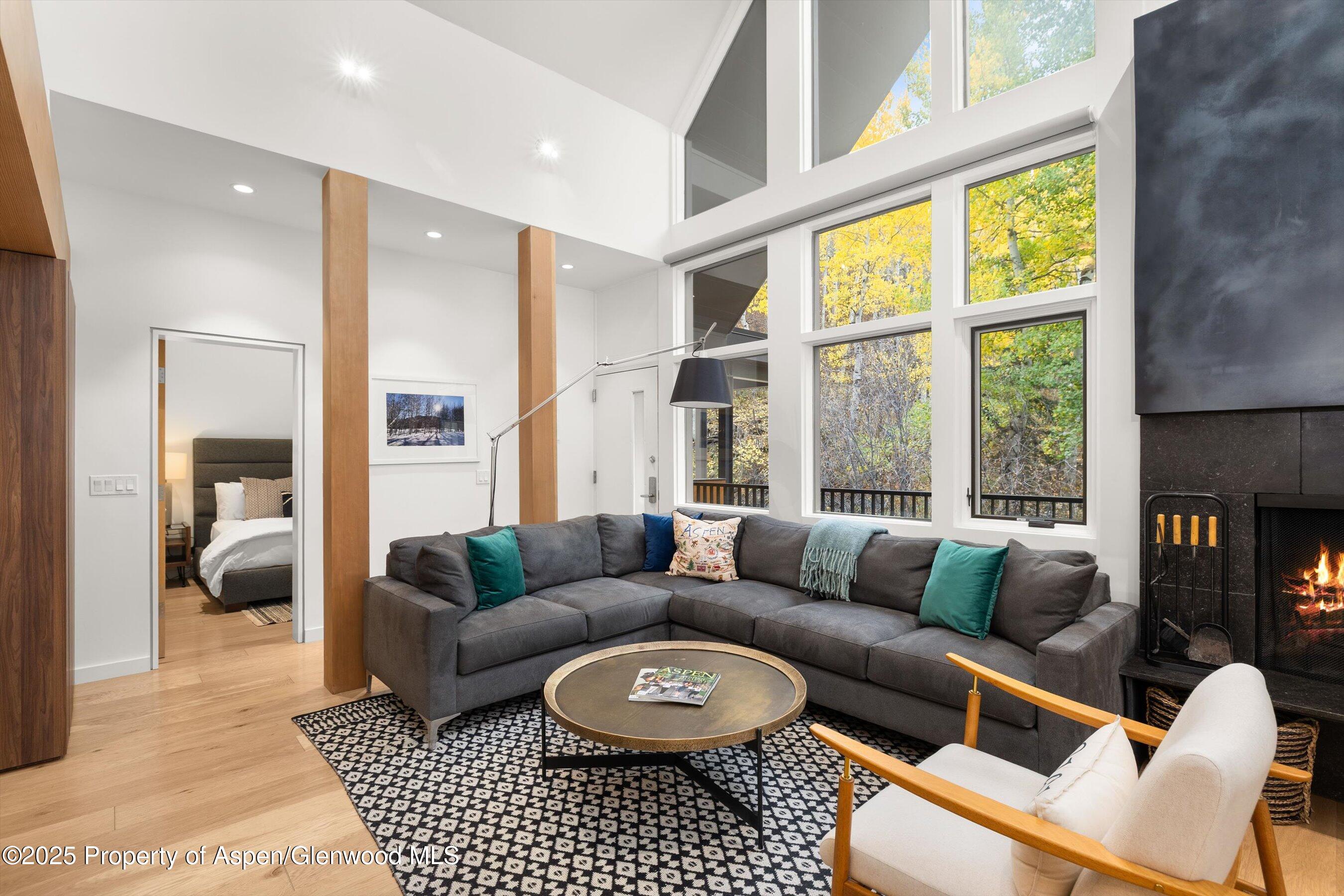 800 S Mill Street Aspen CO 81611