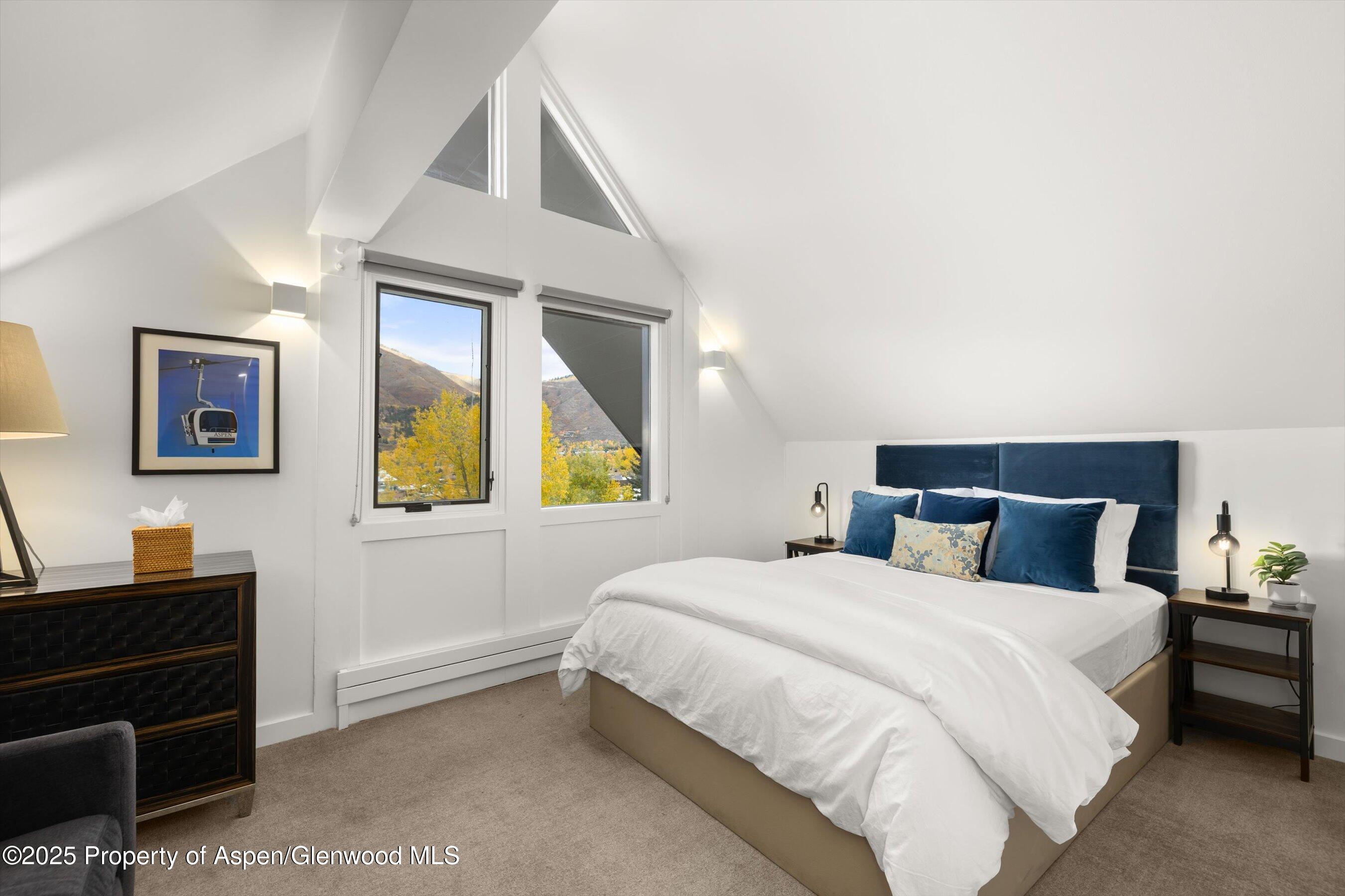 800 S Mill Street Aspen CO 81611