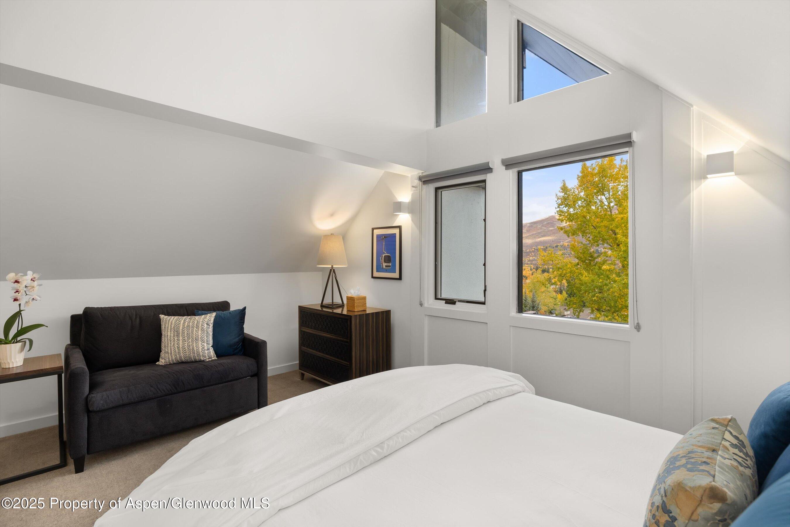 800 S Mill Street Aspen CO 81611