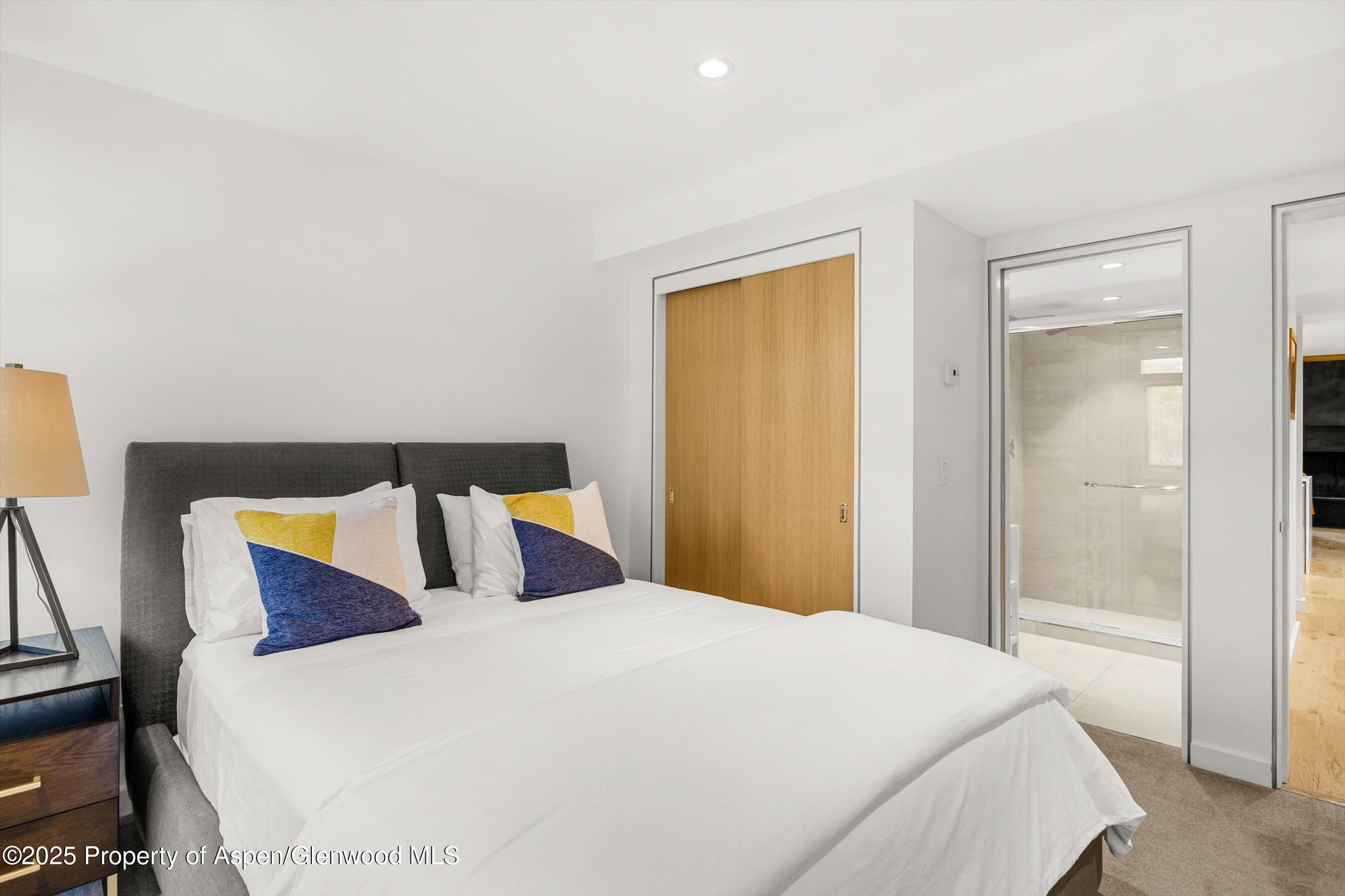 800 S Mill Street Aspen CO 81611