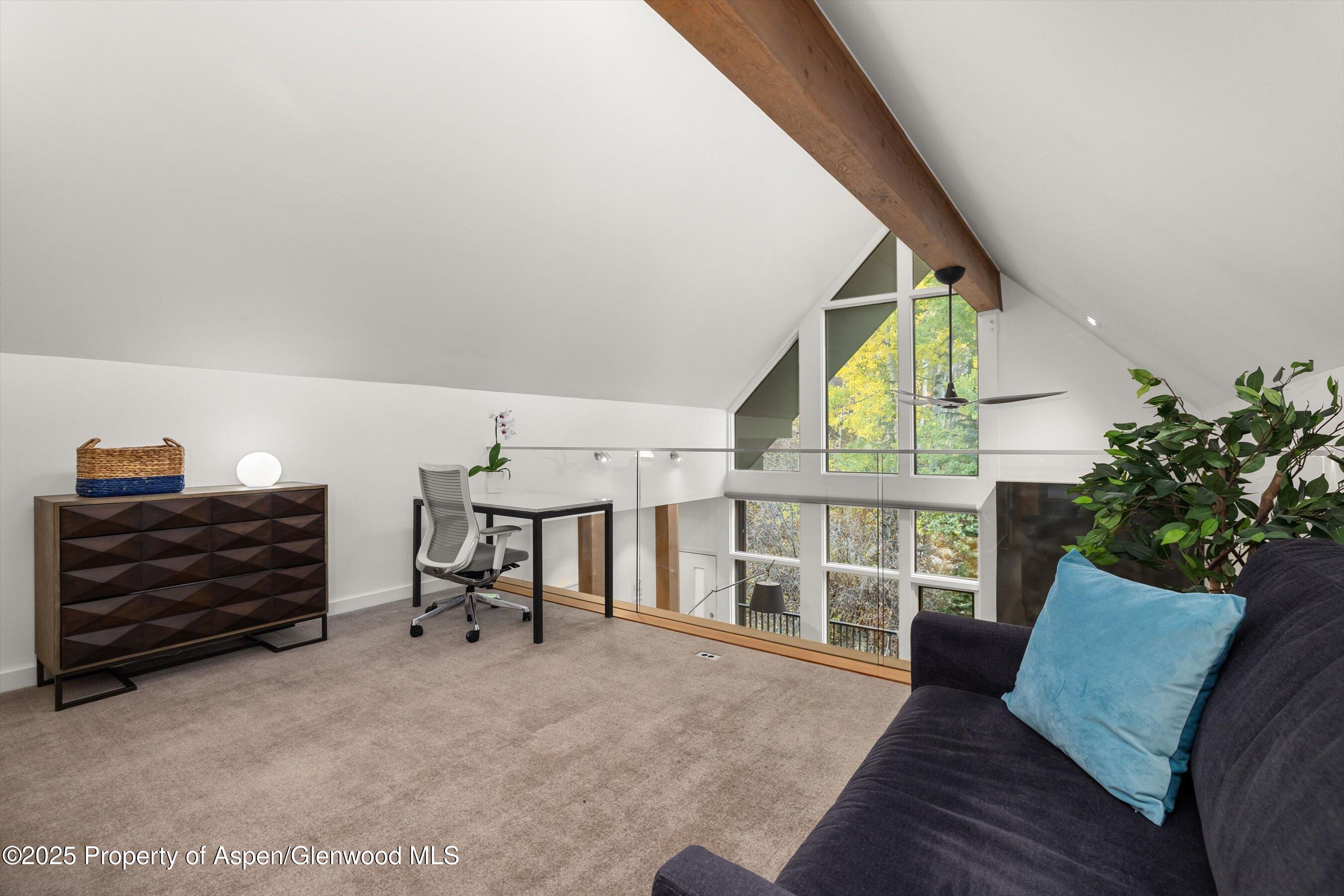 800 S Mill Street Aspen CO 81611